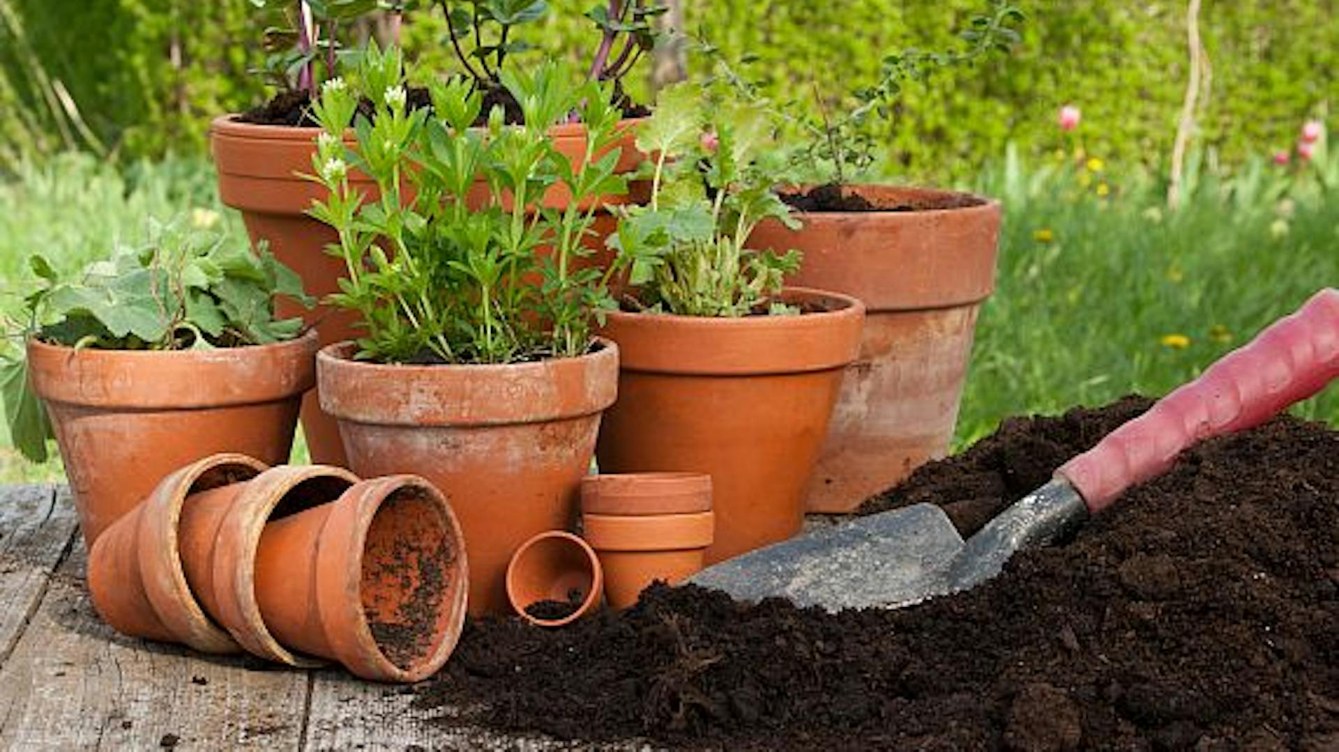 Bylinky v květináčích na dřevěné terase se zeminou a lopatou