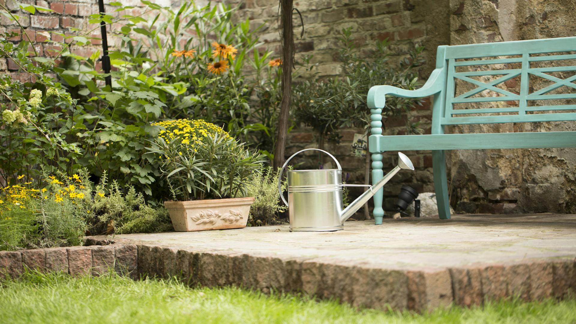 Kleine Terrasse mit Bank und winterharten Pflanzen in Kübeln