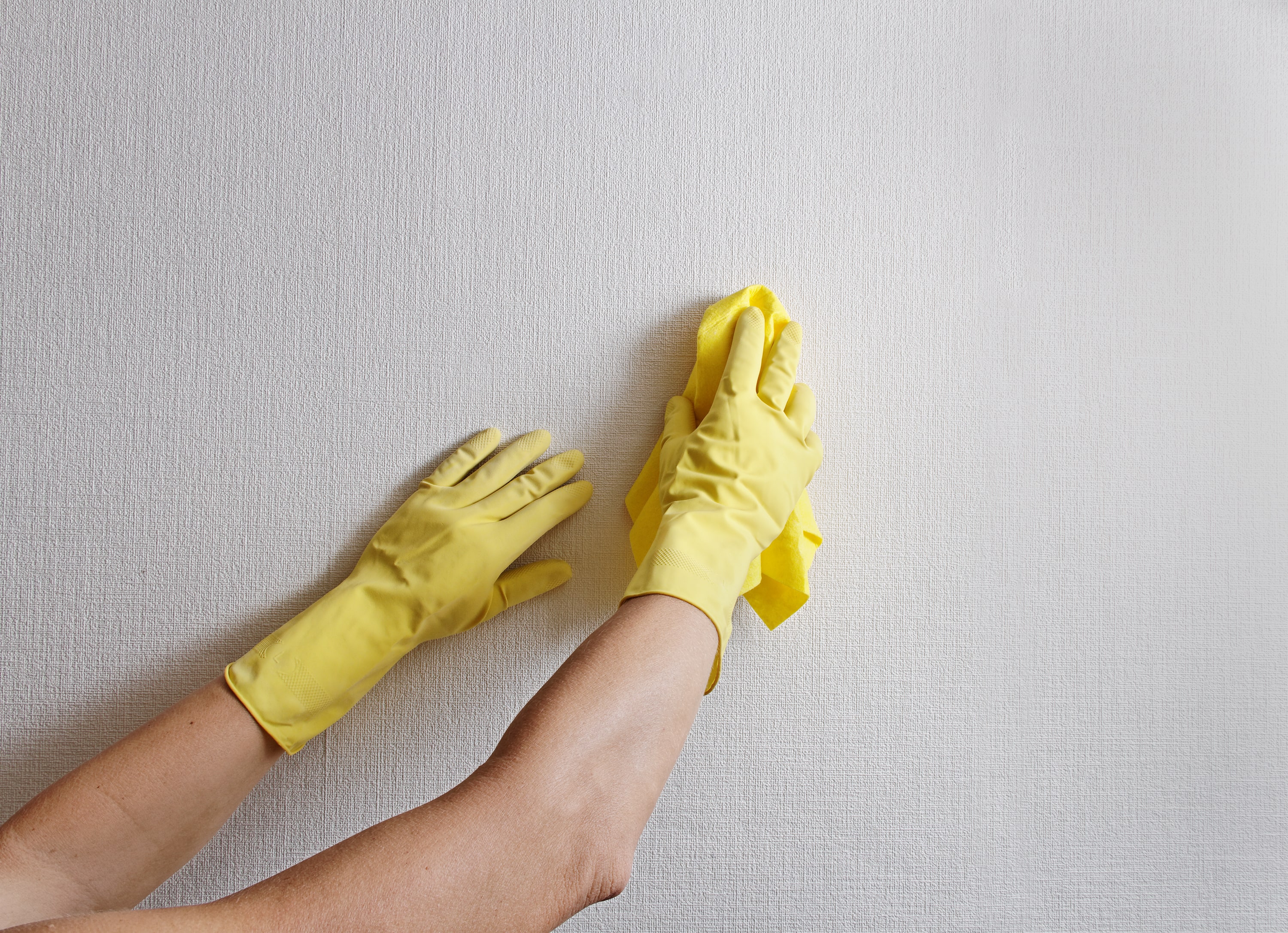 Виниловые можно мыть. Мытье стен. Мытье обоев. Краска для стен моющаяся. Протереть стену.