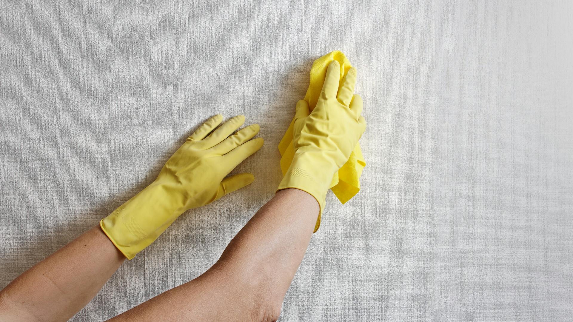 Stück Testtapete aus Raufaser und verschiede Materialien zur Reinigung und Ausbesserung.