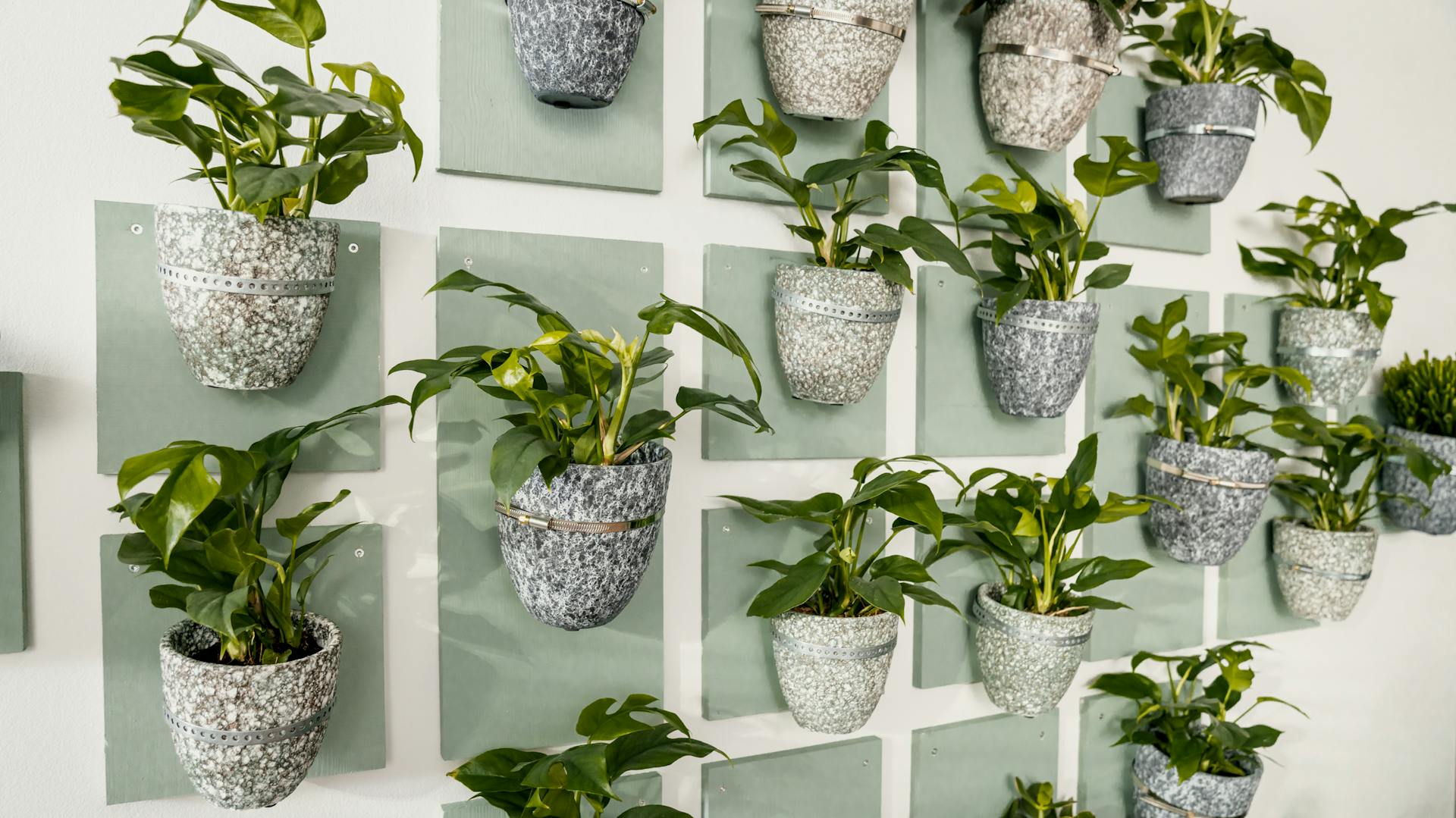 Sicht in einen Raum mit Pflanzenwand, einem Regal mit Pflanzen und einem gemütlichen Sessel.