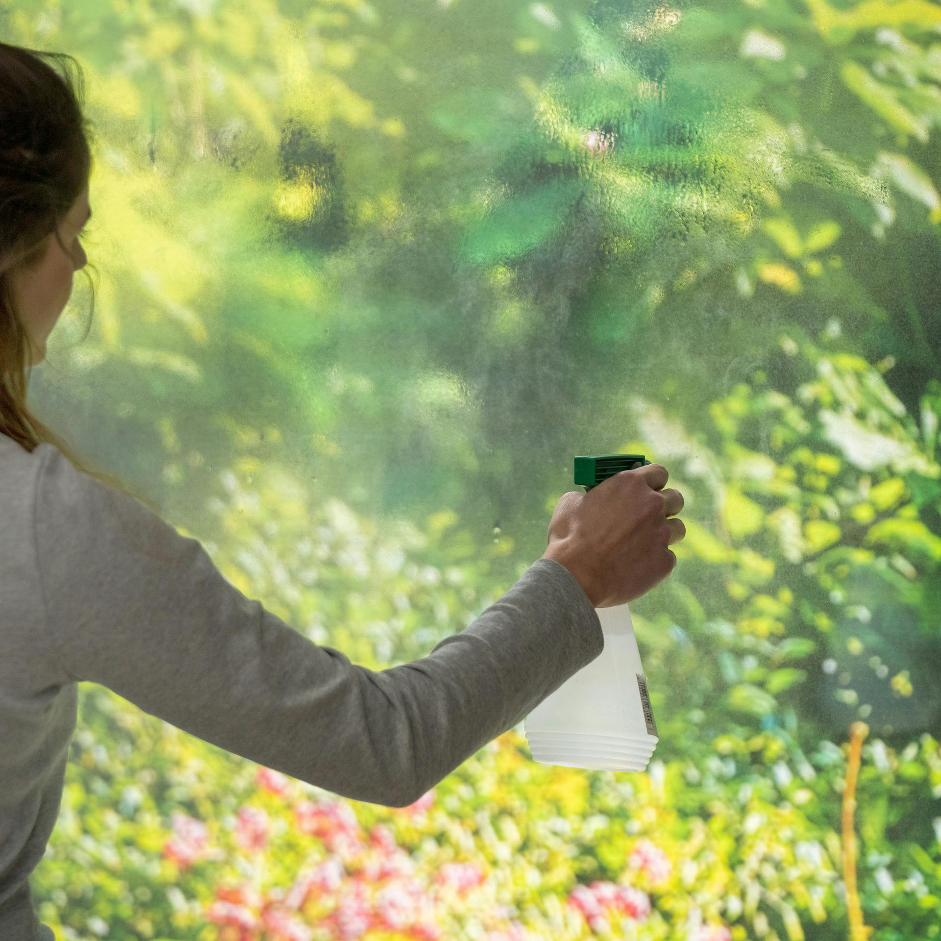 Eine Frau reinigt das Fenster mit Glasreiniger.