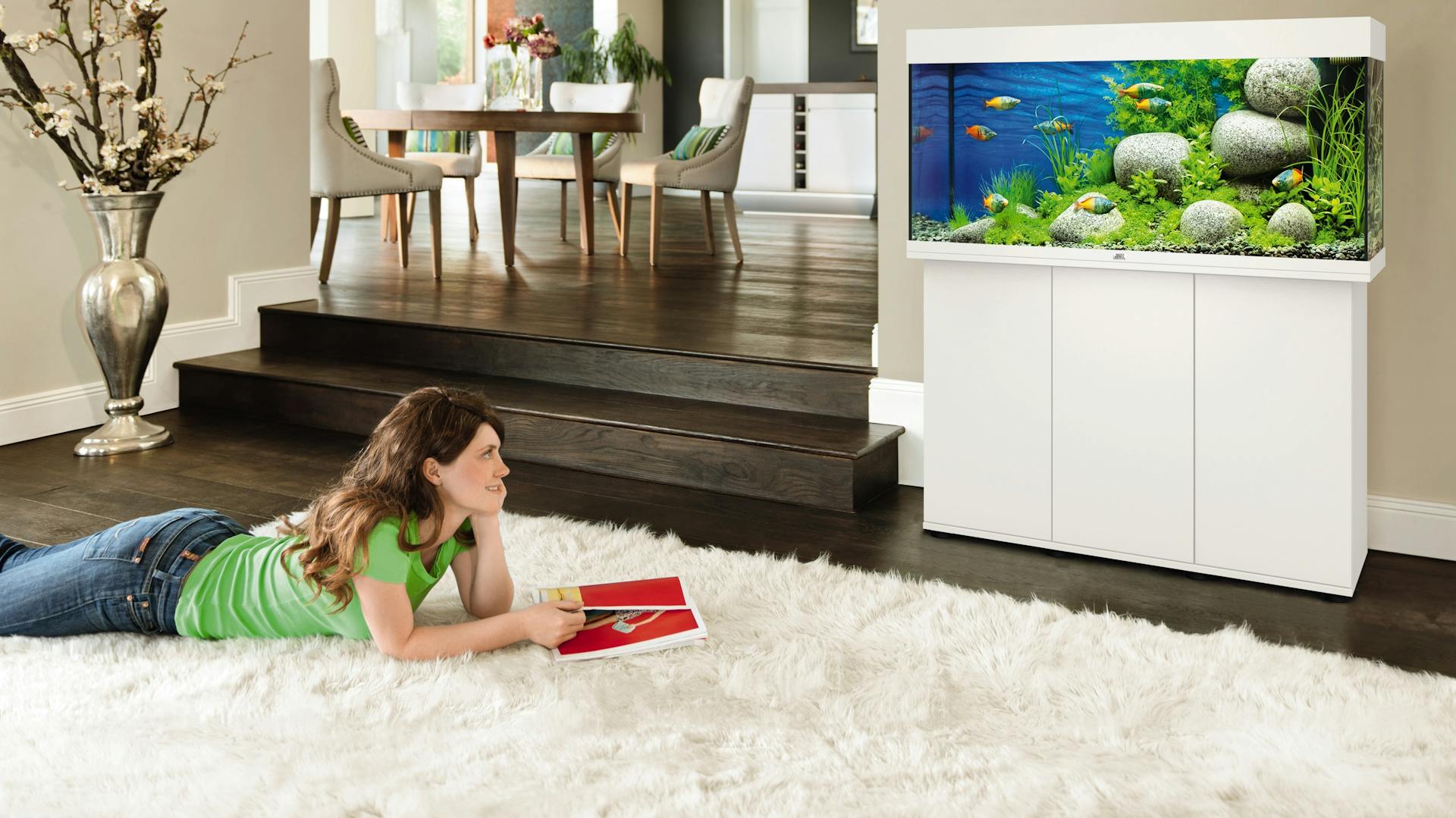 Aquarium einrichten Anleitung fertiges Aquarium im Wohnzimmer betrachten