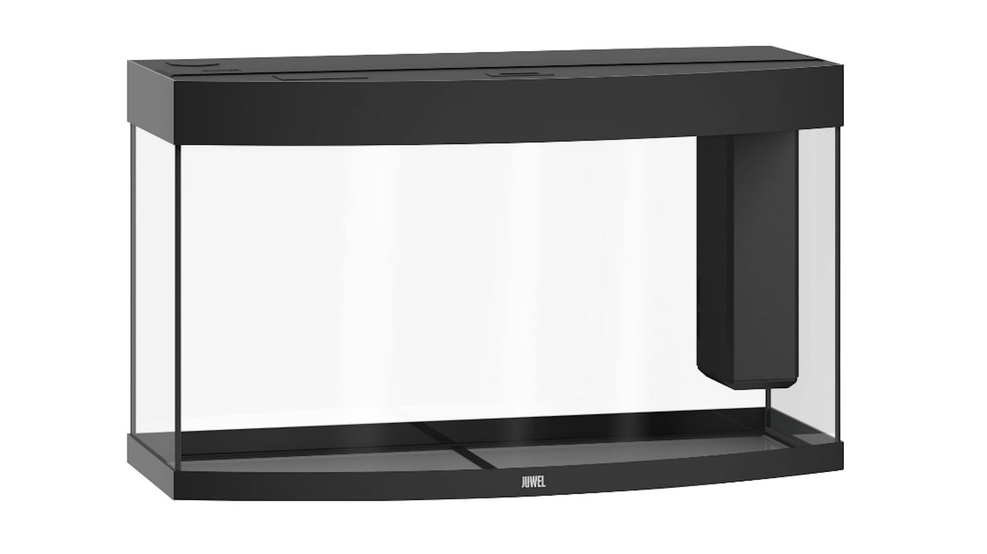 Aquarium einrichten Auswahl leeres Aquarium