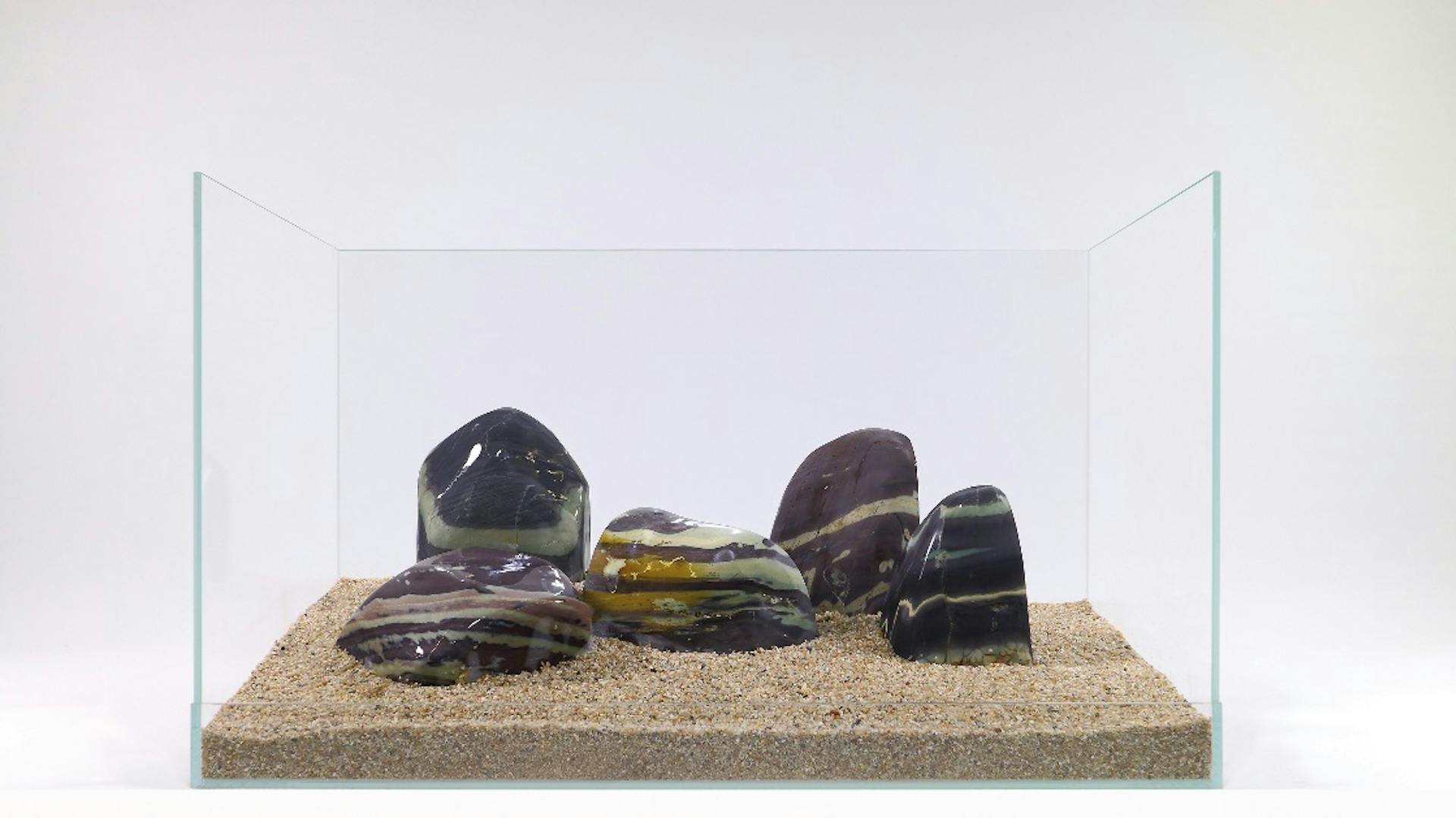 Aquarium einrichten Dekoration Hardscape Steine