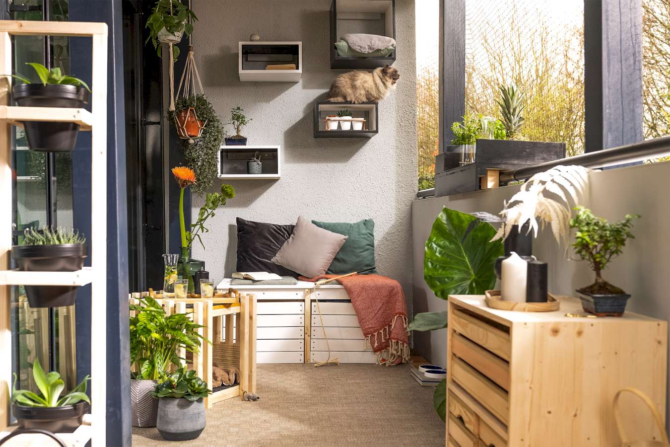 Balkonbank Lasse steht zentral auf dem auf einem Balkon, der mit einer Katzenhöhle und Futterstation ausgestattet ist.