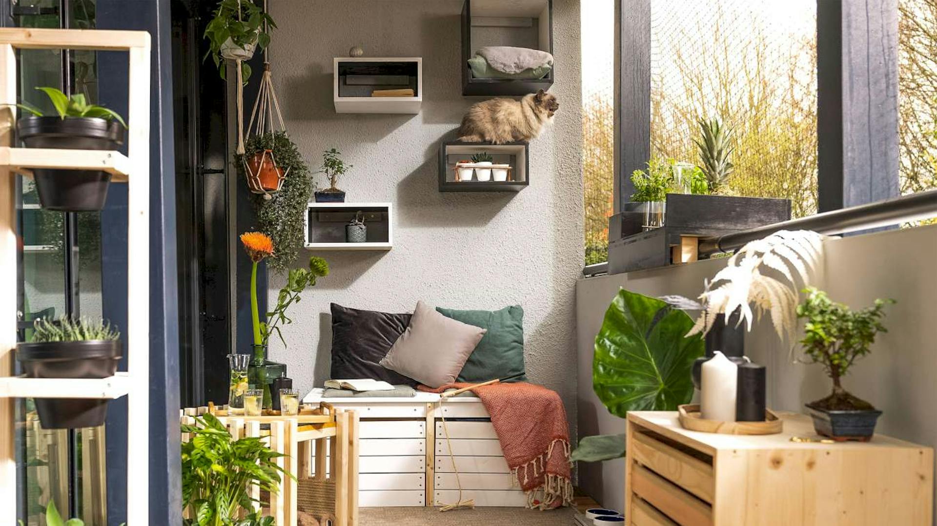 Balkonbank Lasse steht zentral auf dem auf einem Balkon, der mit einer Katzenhöhle und Futterstation ausgestattet ist.