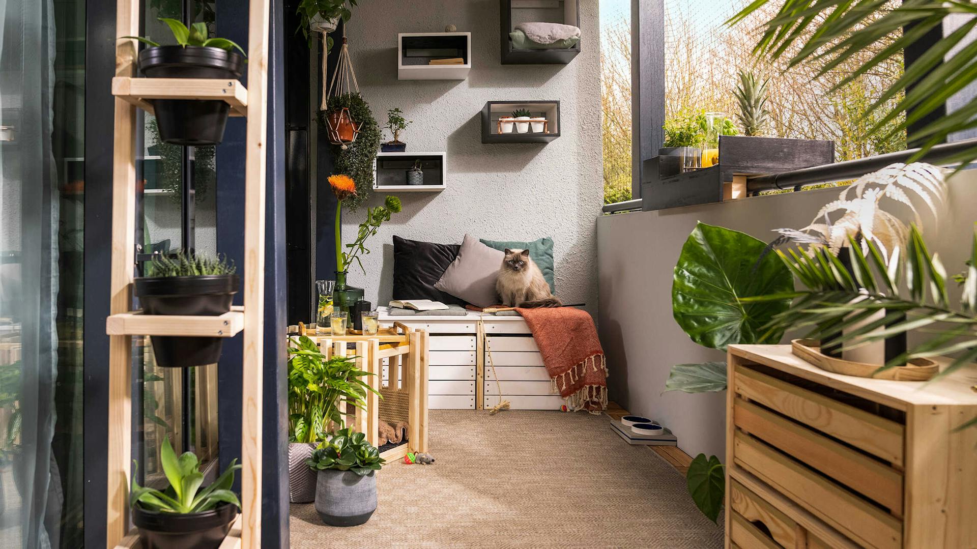 Balkonbank Lasse steht zentral auf dem auf einem Balkon, der mit einer Katzenhöhle und Futterstation ausgestattet ist.