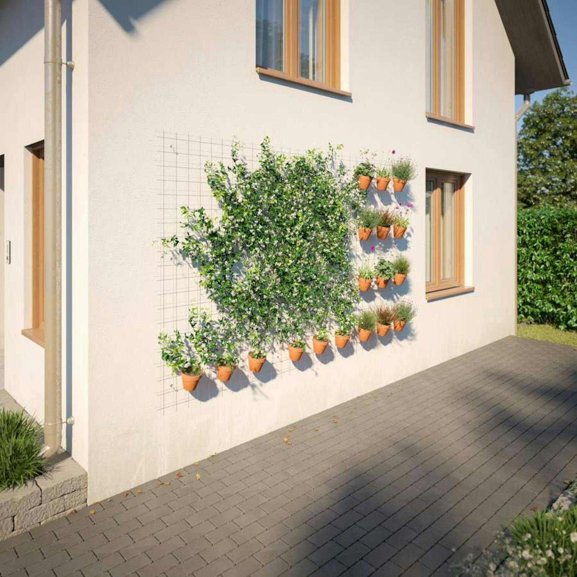 Wandbegrünung Pflanzgitter