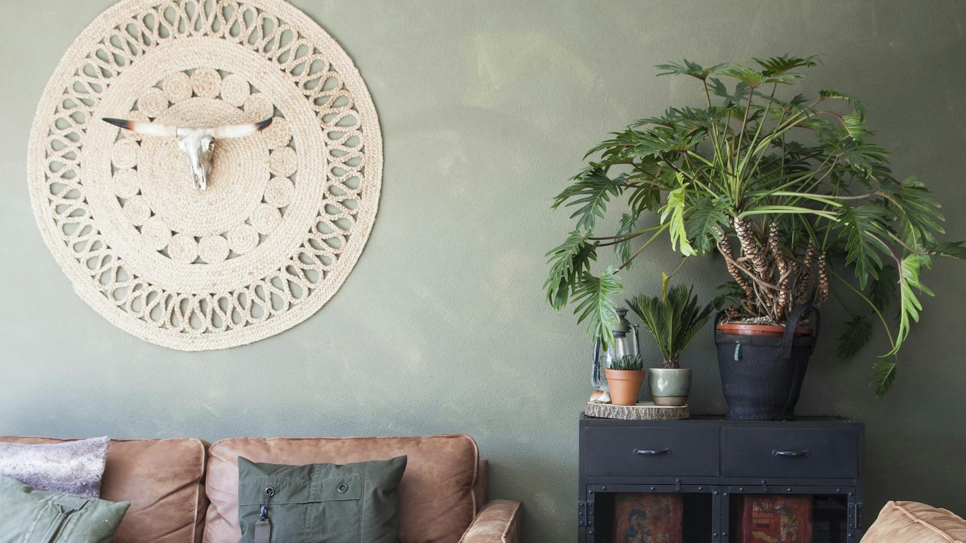 Zimmer mit olivegrüner Wandfarbe