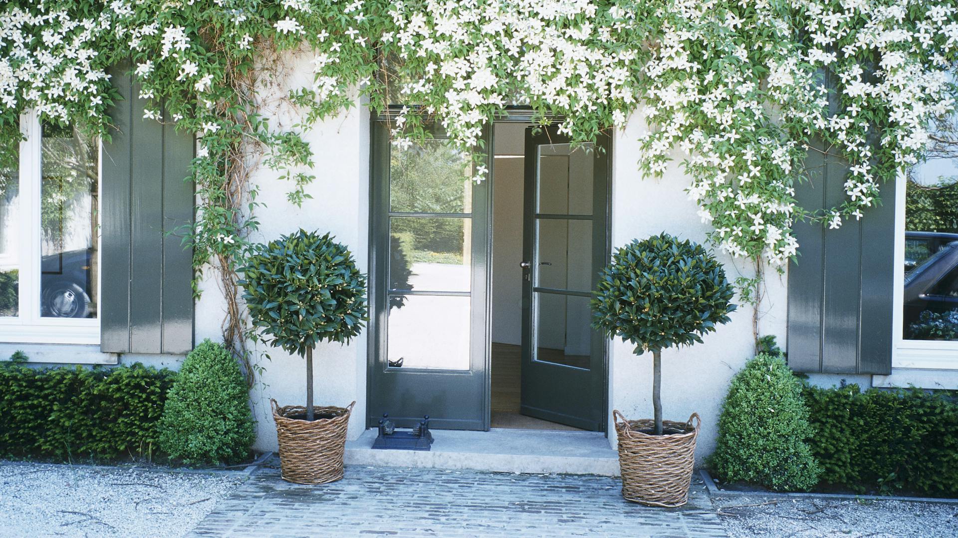 Eingangstür mit zwei Bäumen daneben.