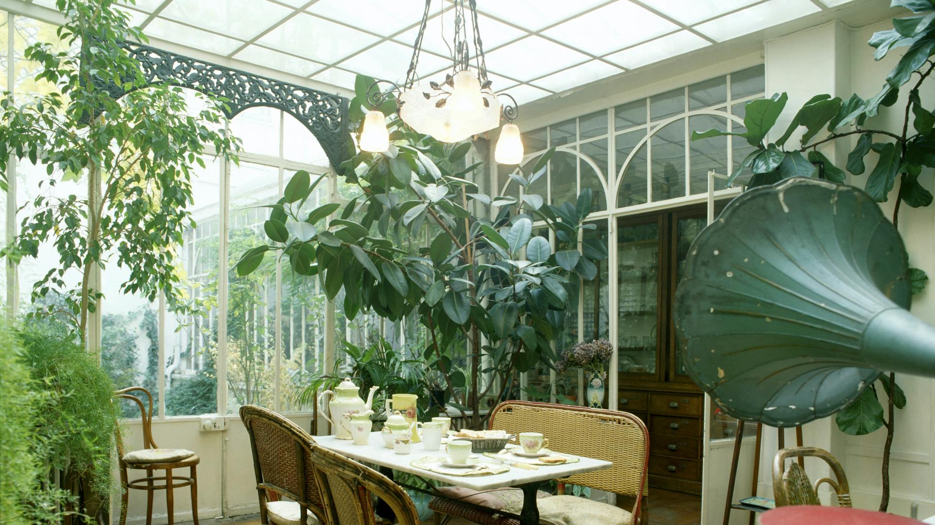 Ein Raum mit einem Esstisch in der Mitte, der von großen Zimmerpflanzen umgeben ist