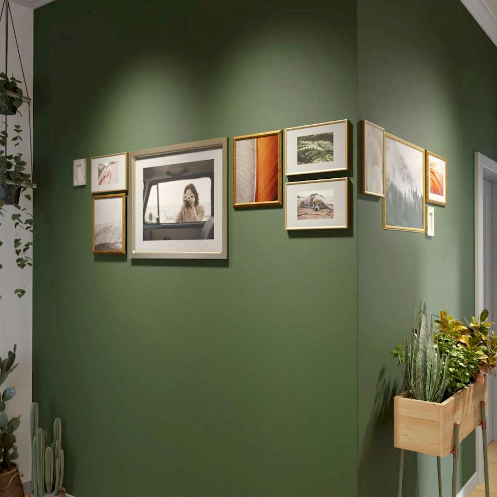 An einer grünen Wand wurden um die Ecke herum verschiedene Bilder angeordnet.