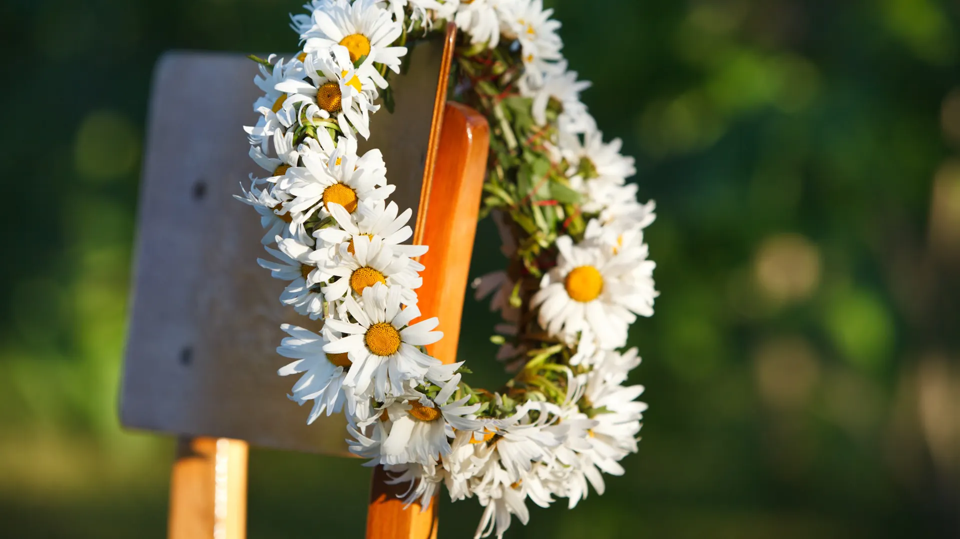 Kranz aus Gänseblümchen