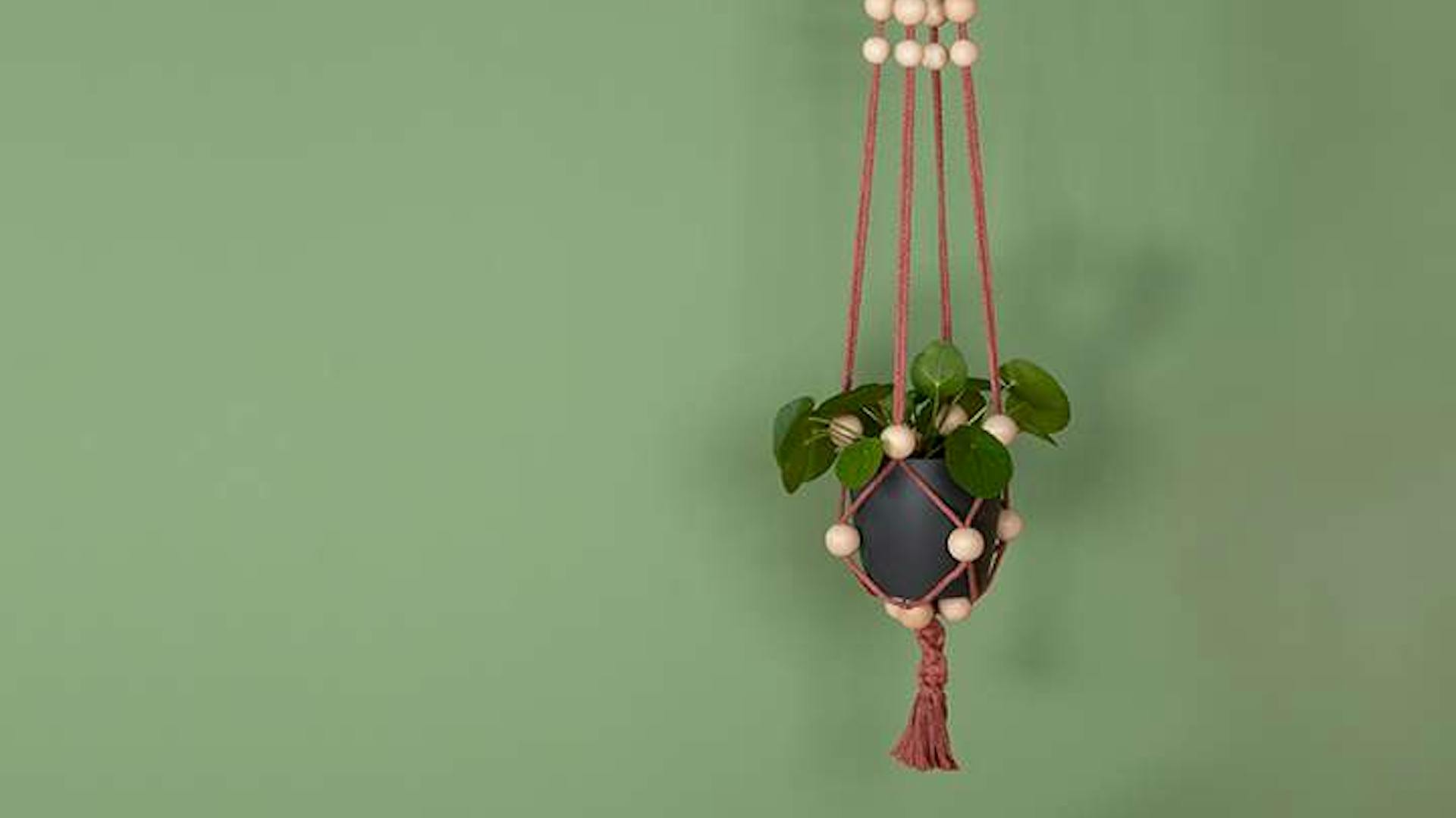 Eine Blumenampel mit Holzkugeln hängt vor einer grünen Wand.