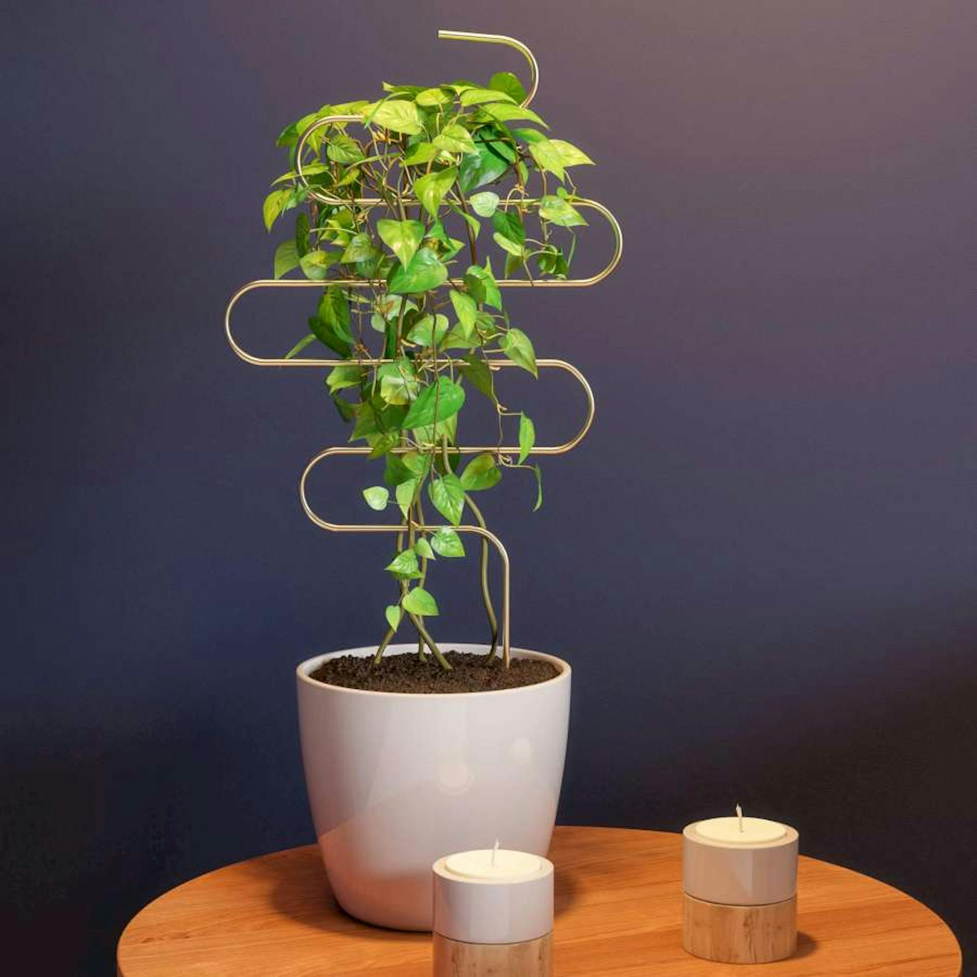 Eine Rankenhilfe aus Messing.