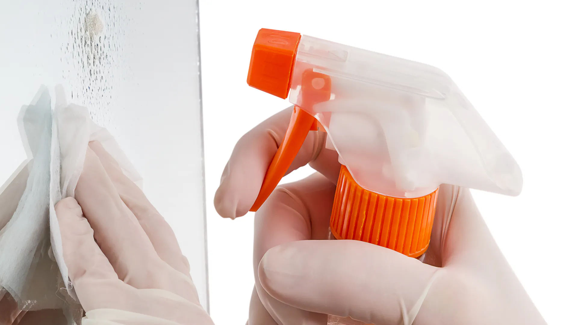 Eine Person sprüht Glasreiniger auf eine Glasfläche und wischt diese mit Handschuhen und einem Tuch nach