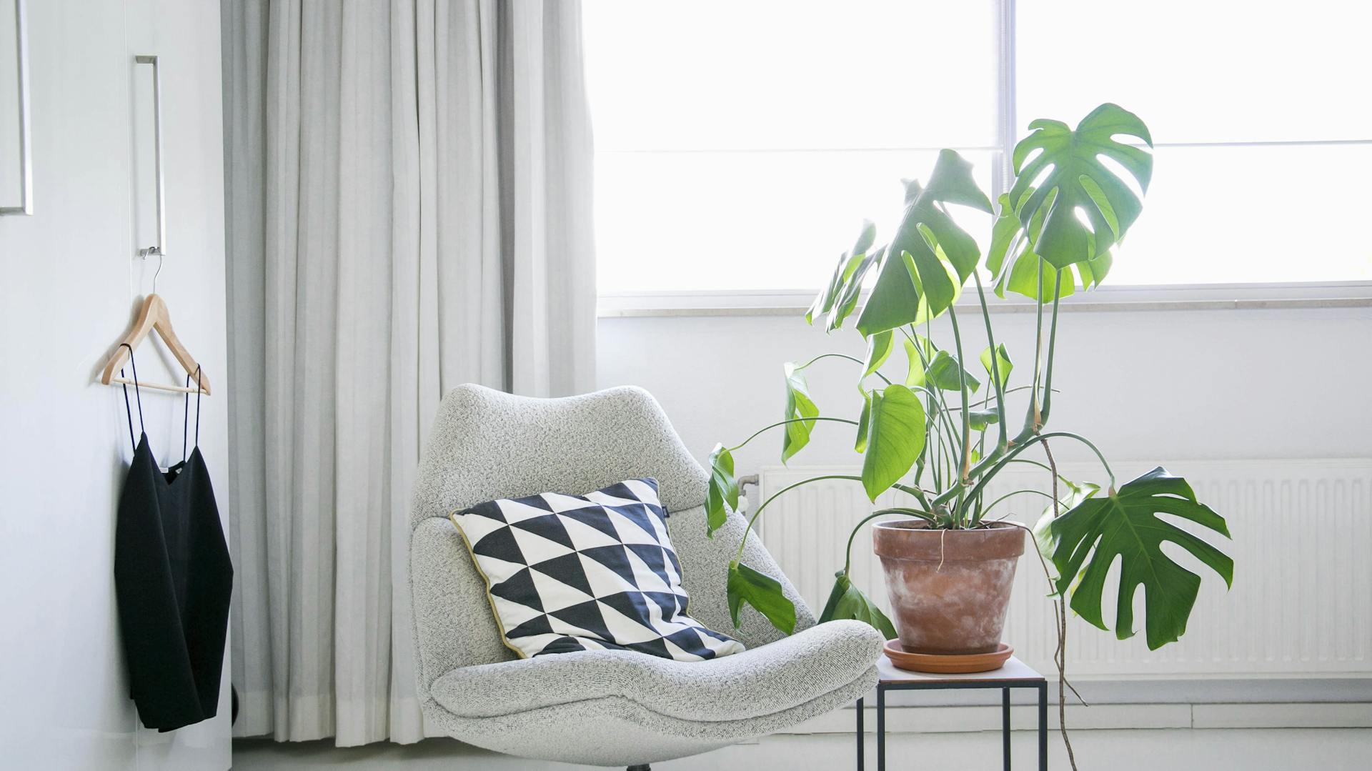 Monstera in Terrakotta-Topf in einem Wohnzimmer