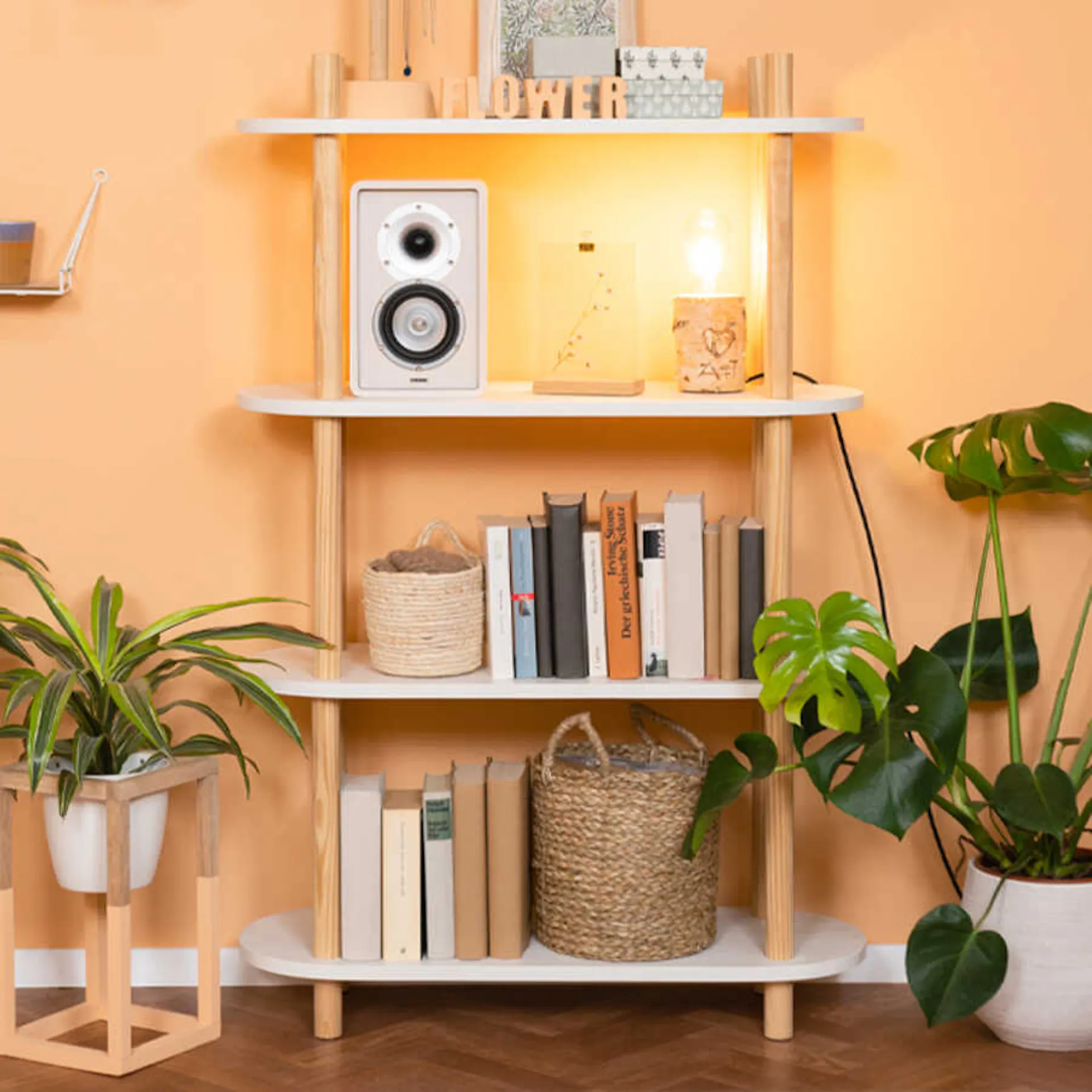 Regal Johann, in dem Bücher und Dekoration stehen, zwischen Pflanzen vor einer orangenen Wand