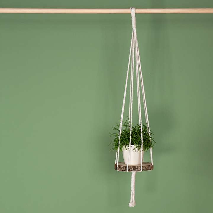 Vor einer grünen Wand hängt eine Blumenampel, die eine Baumscheibe als Einlegeboden nutzt.