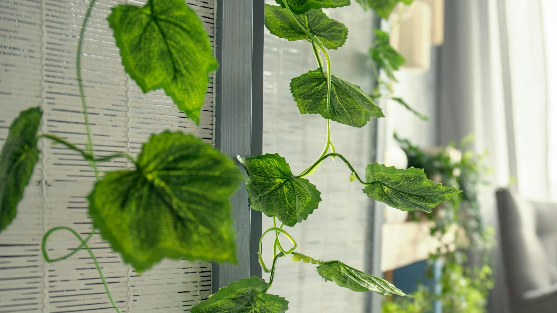 Műnövények egy paravánnál