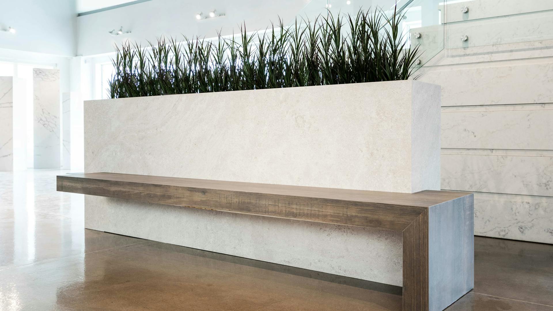 Raumteiler mit Pflanzen im Büro