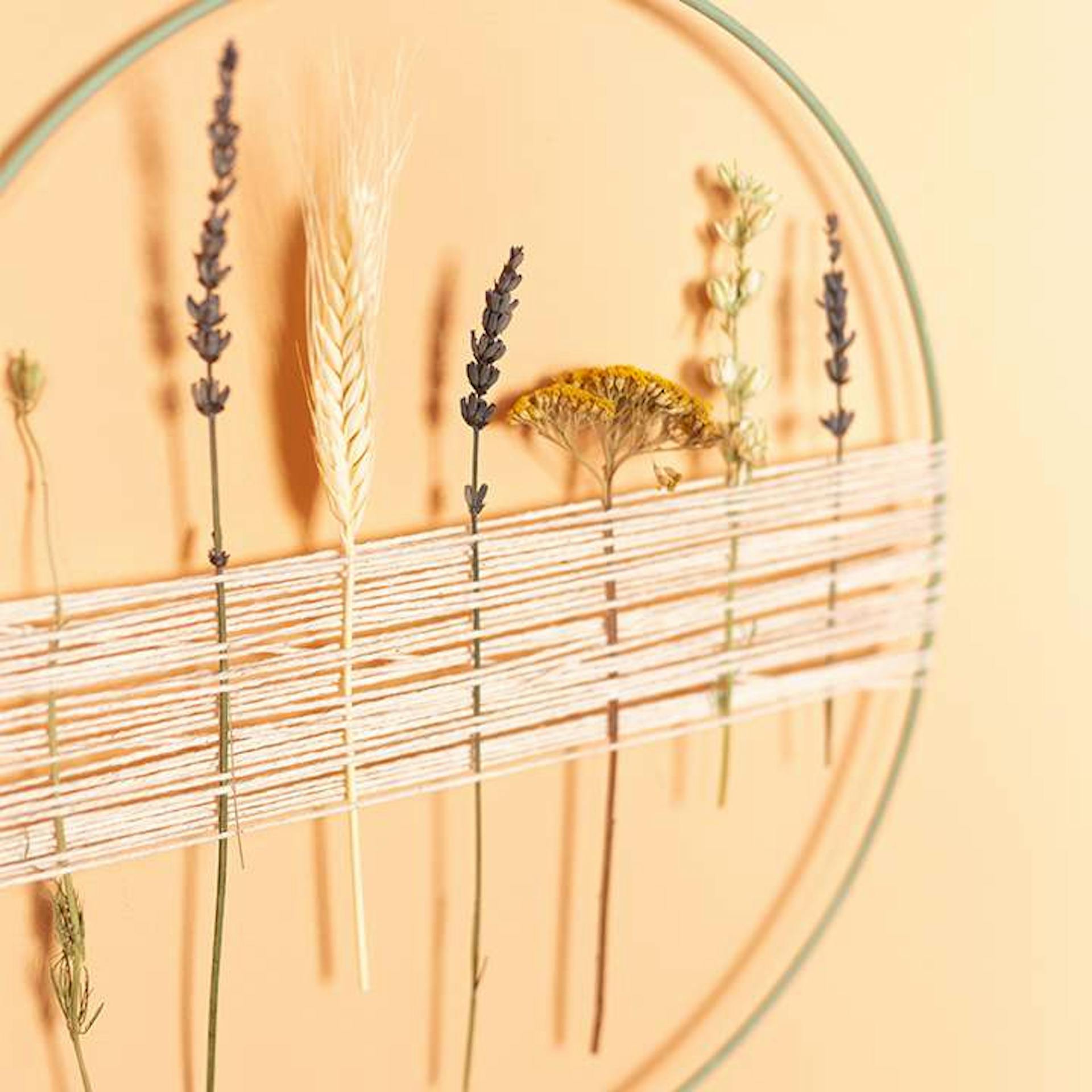 Metallringe lackieren