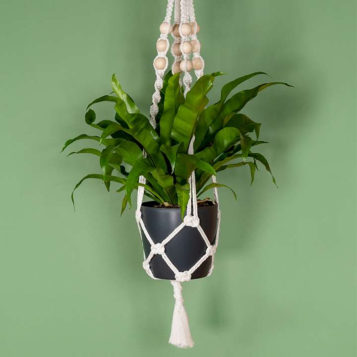 DIY Makramee Blumenampel 