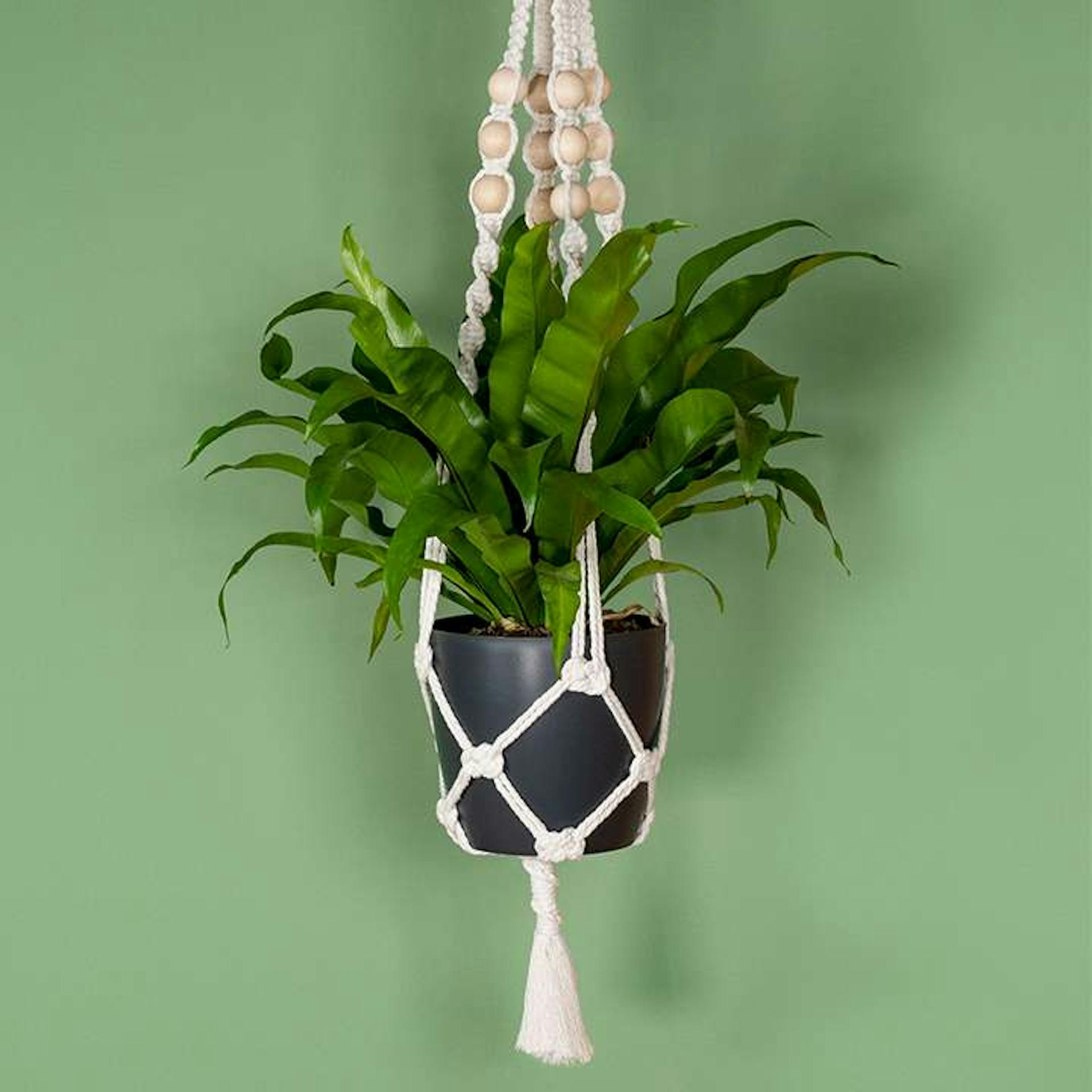 DIY Makramee Blumenampel