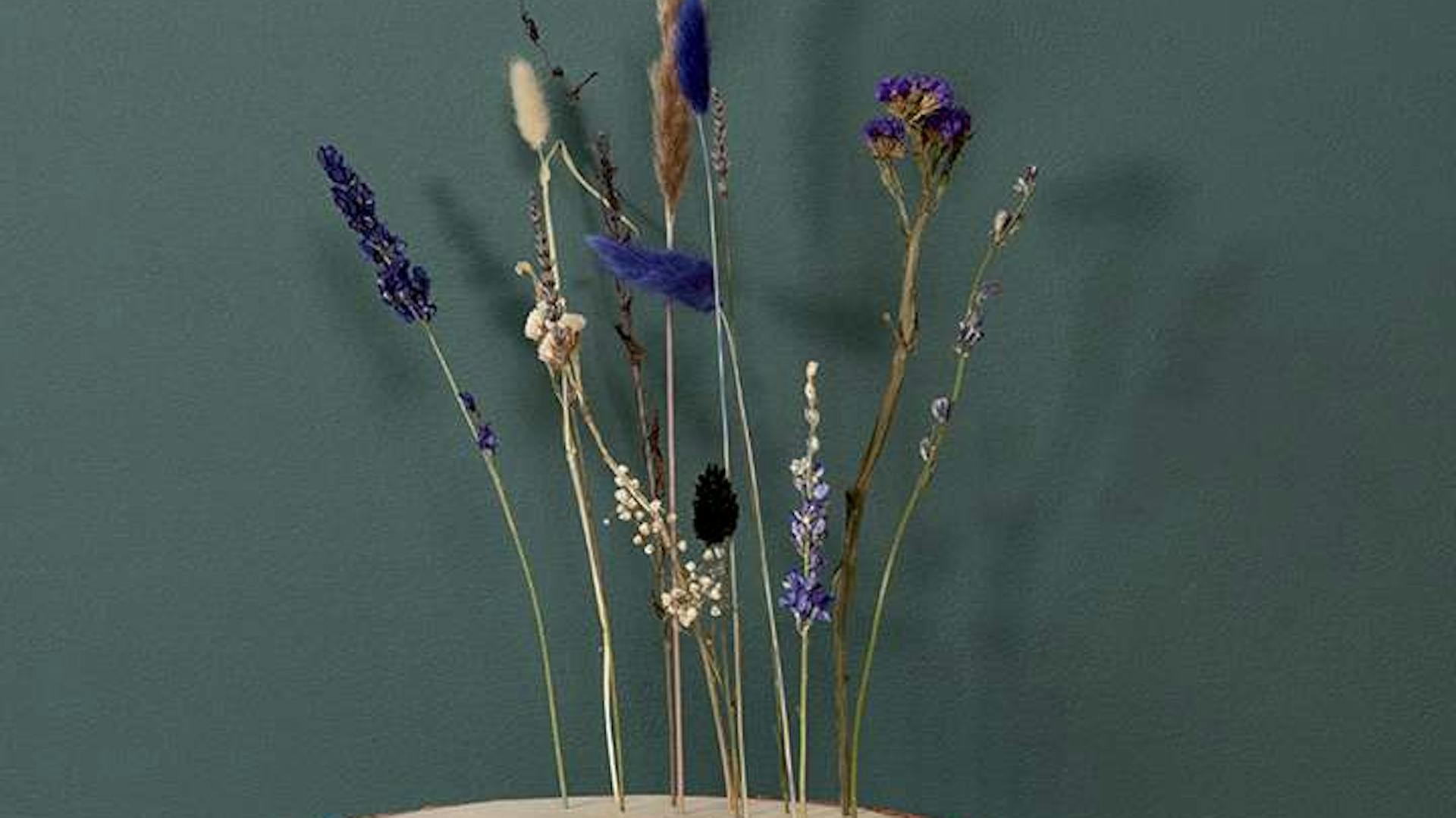 Trockenblumen auf einer Baumscheibe vor einer dunkelgrünen Wand.