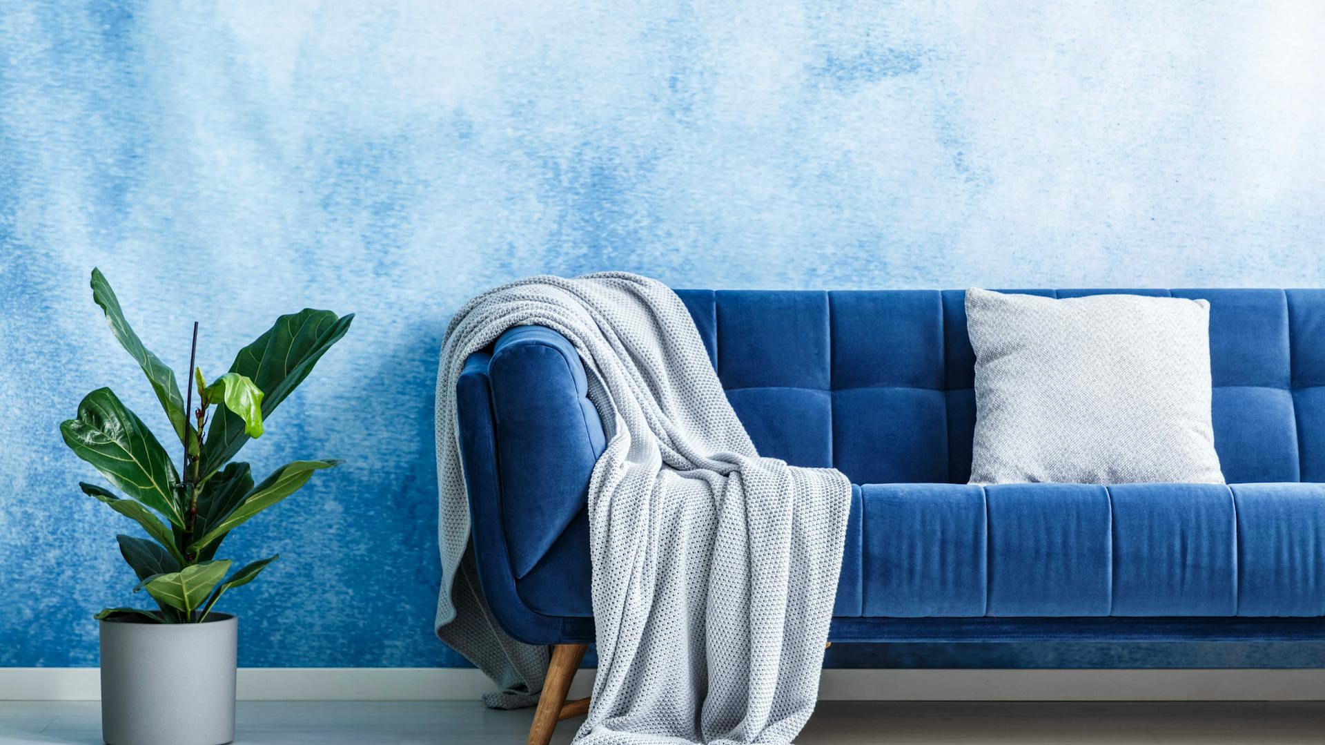 Blaue Tapete, davor ein blaues Sofa.