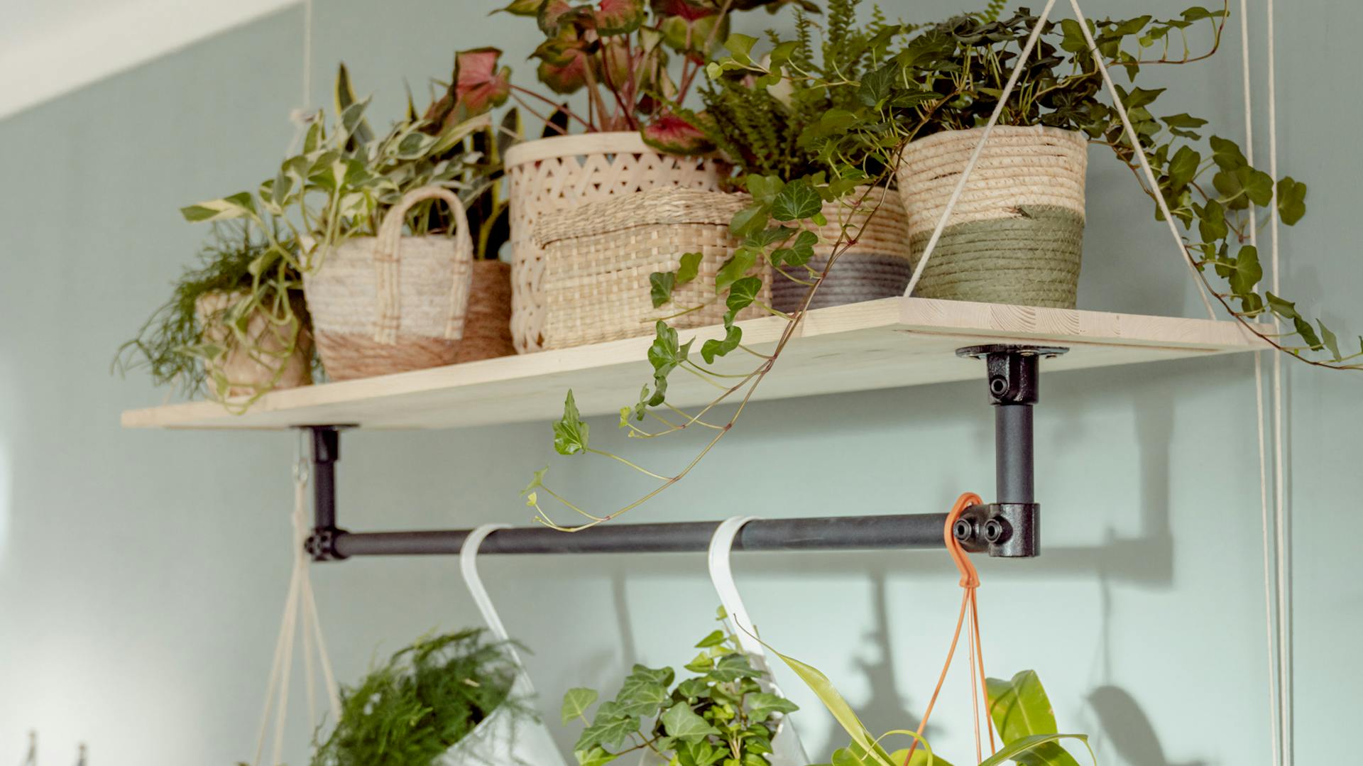 Flaschenzug-System mit Pflanzen in Tiny Room