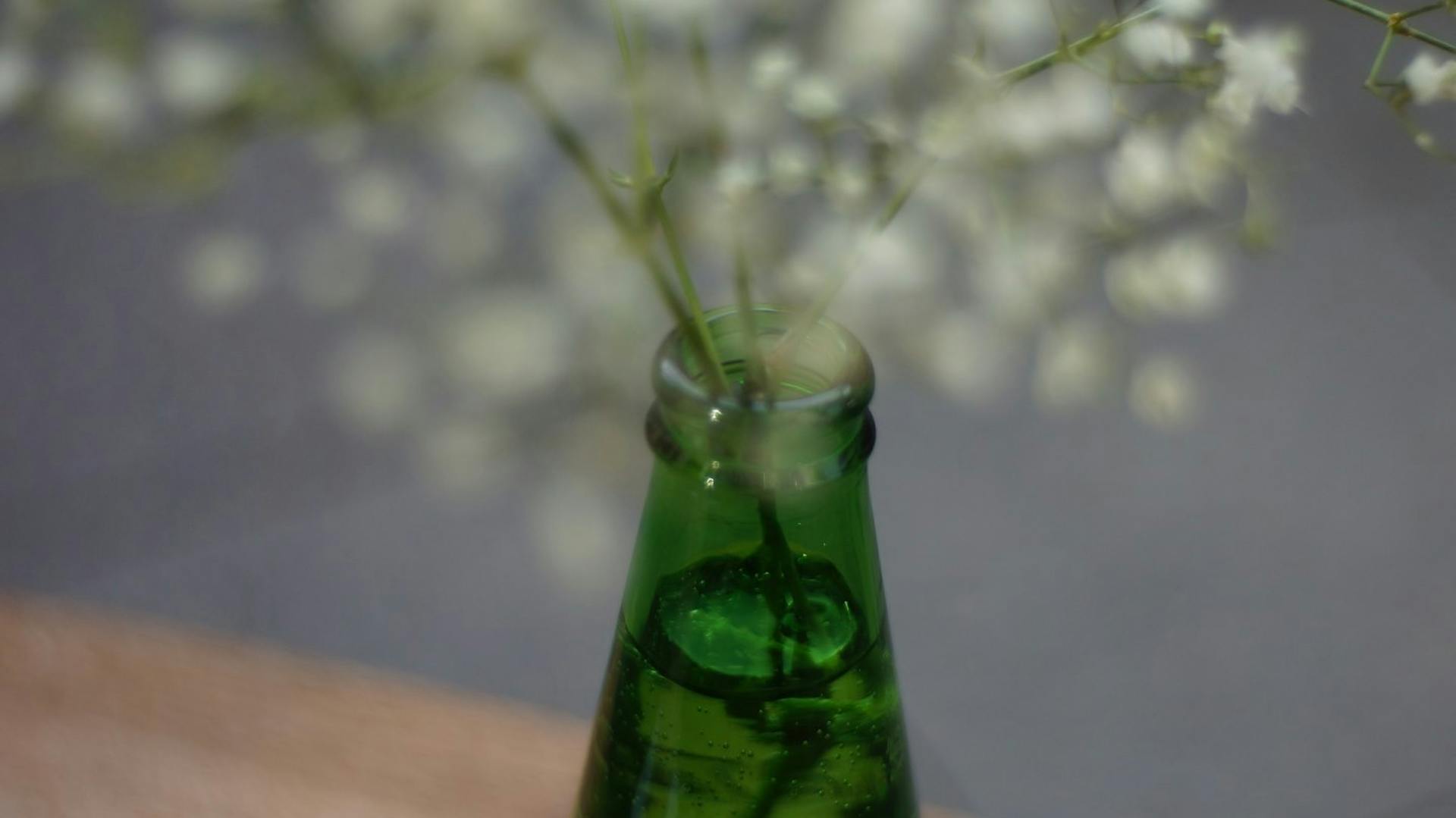 Una bottiglia di vetro verde come vaso per fiori recisi.