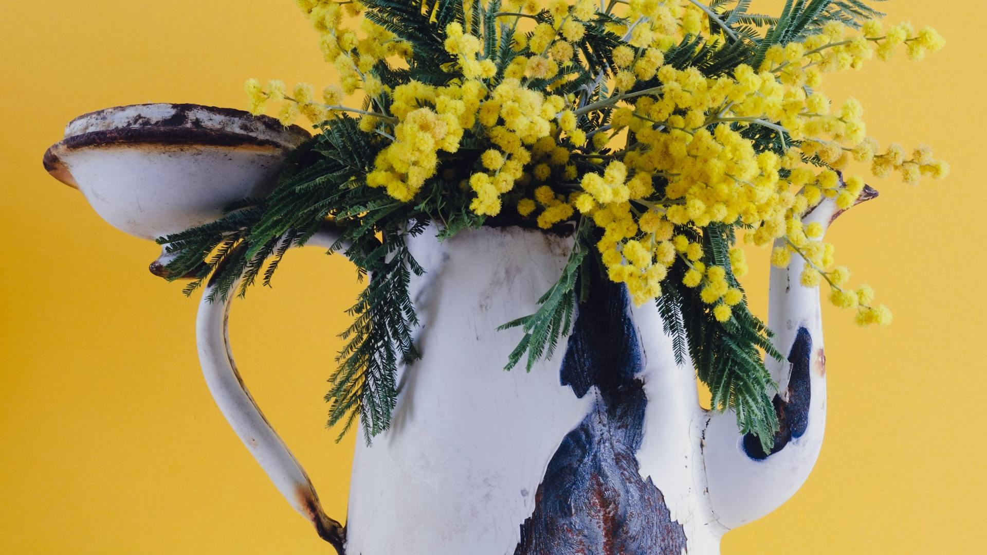 Teiera con piante su sfondo giallo.