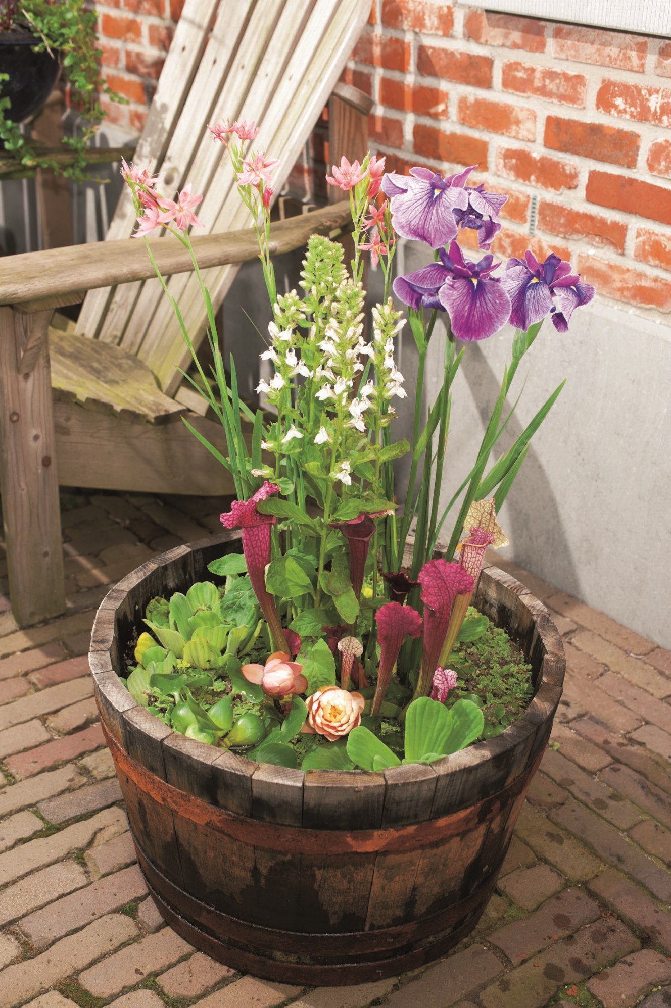 Una vecchia botte di legno con piante acquatiche coltivate.