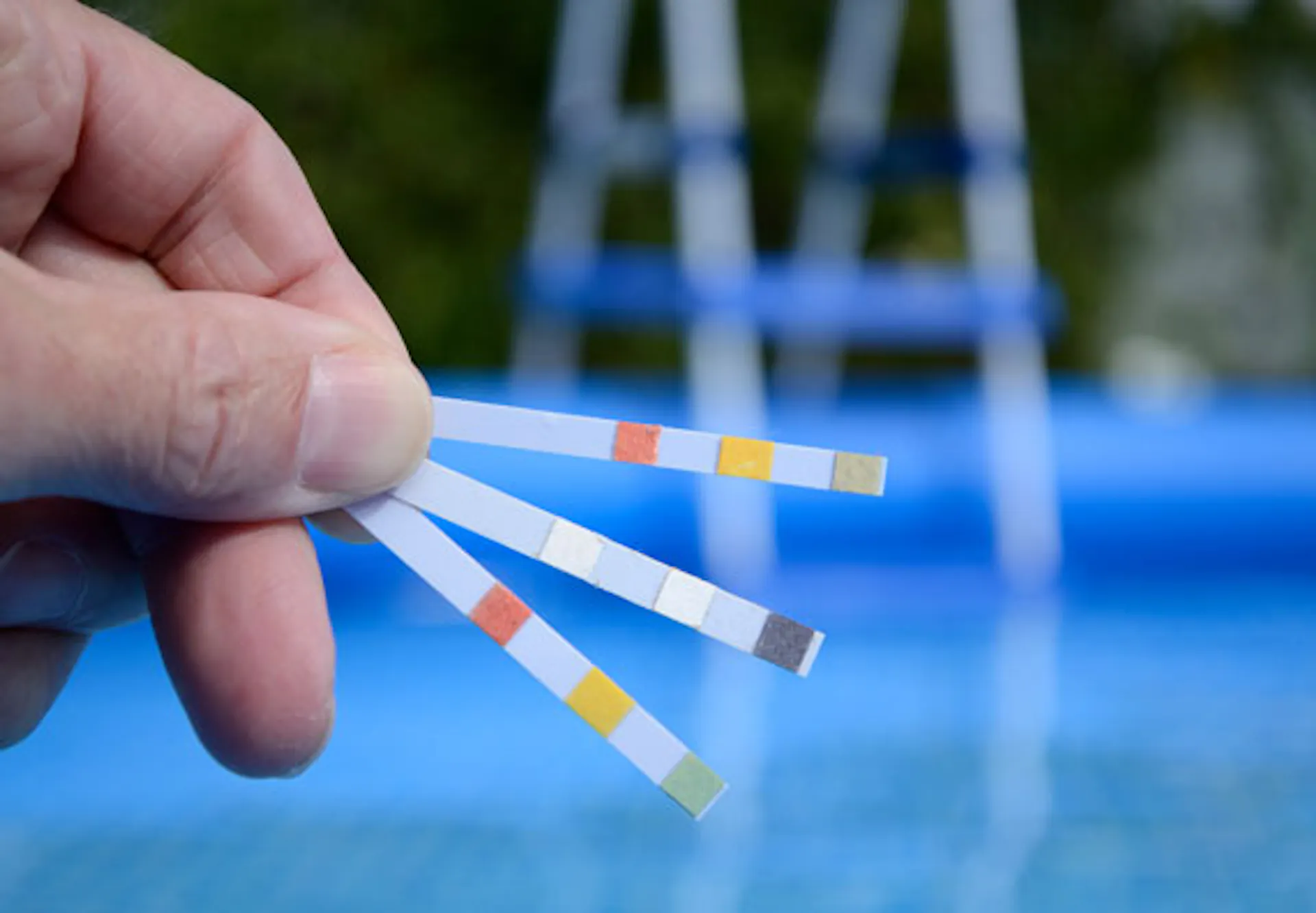 Person hält Teststreifen zur Ermittlung des pH-Wertes in der Hand.