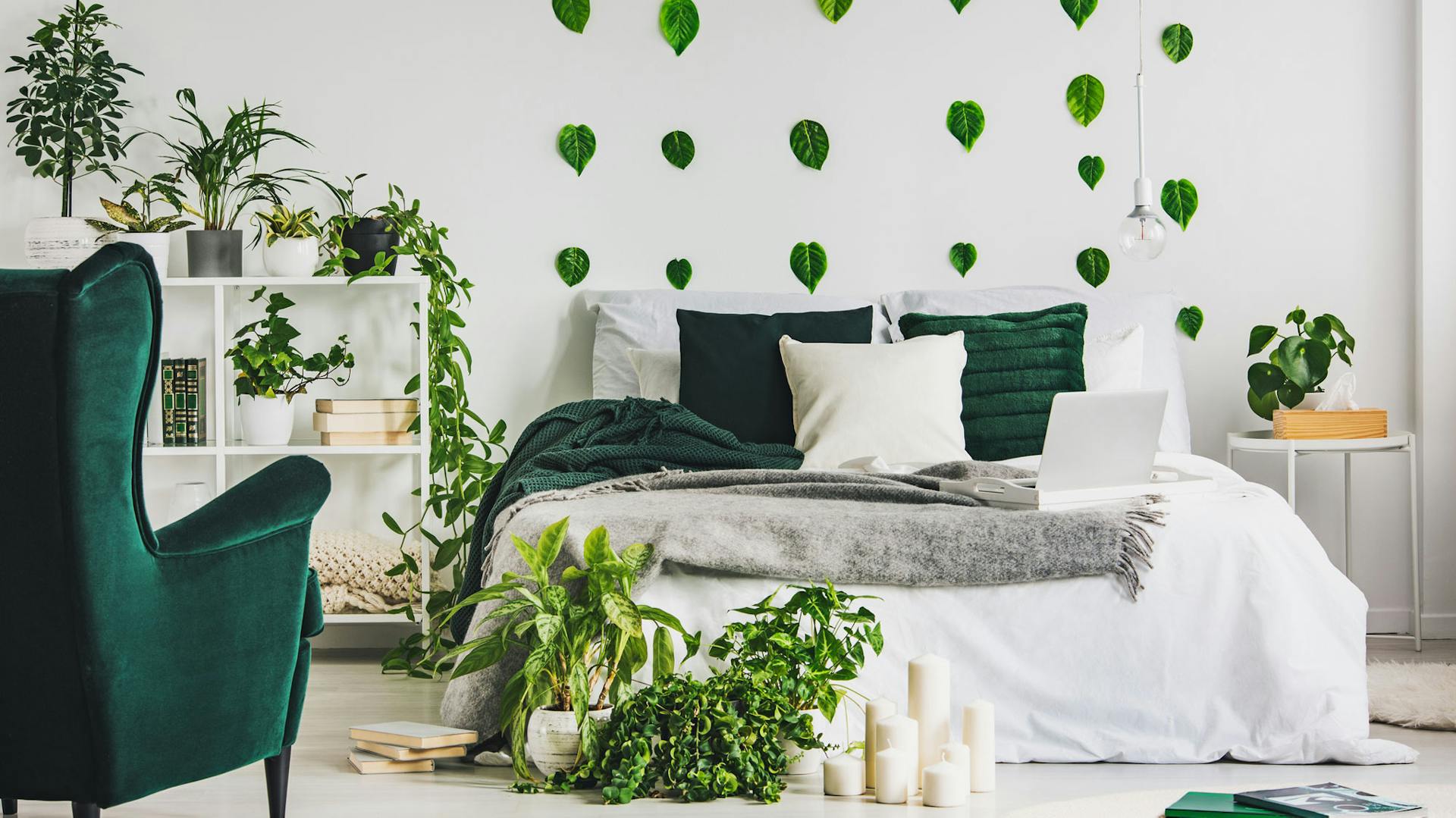 Schlafzimmer mit vielen pflegeleichten Zimmerpflanzen.