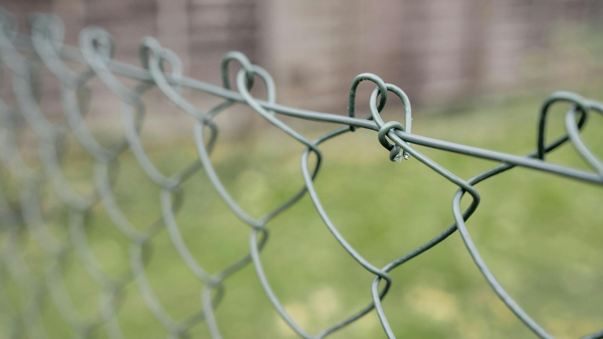 V popredí je vidieť časť plota z drôteného pletiva, v pozadí je rozmazaný trávnik a drevený palisádový plot.