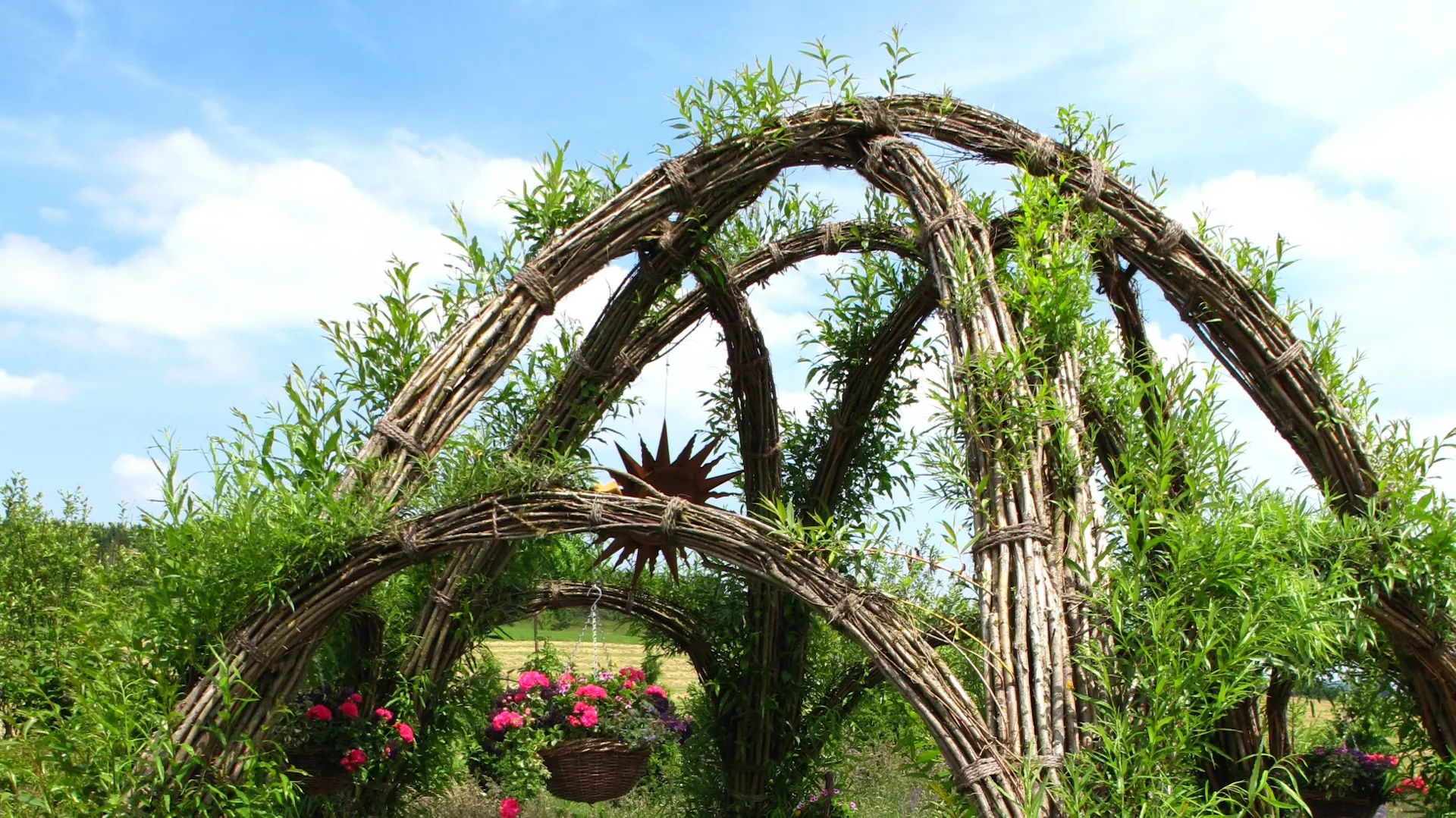 Ein lebender Weidenpavillon auf einer Wiese