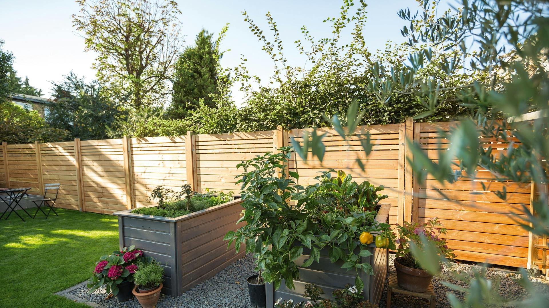 Garten mit Hochbeeten und Holzzaun als Sichtschutz
