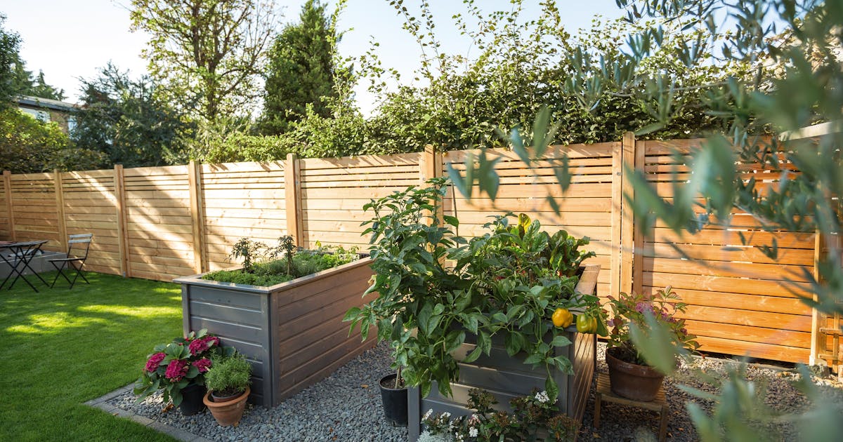 Sichtschutz für den Garten – Ideen und Ratgeber | OBI