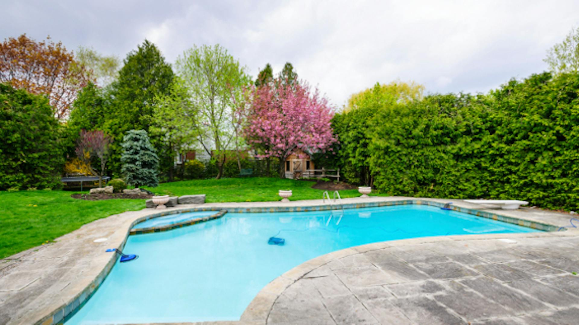 Hecke und Bäume umranden Garten mit Pool und Terrasse