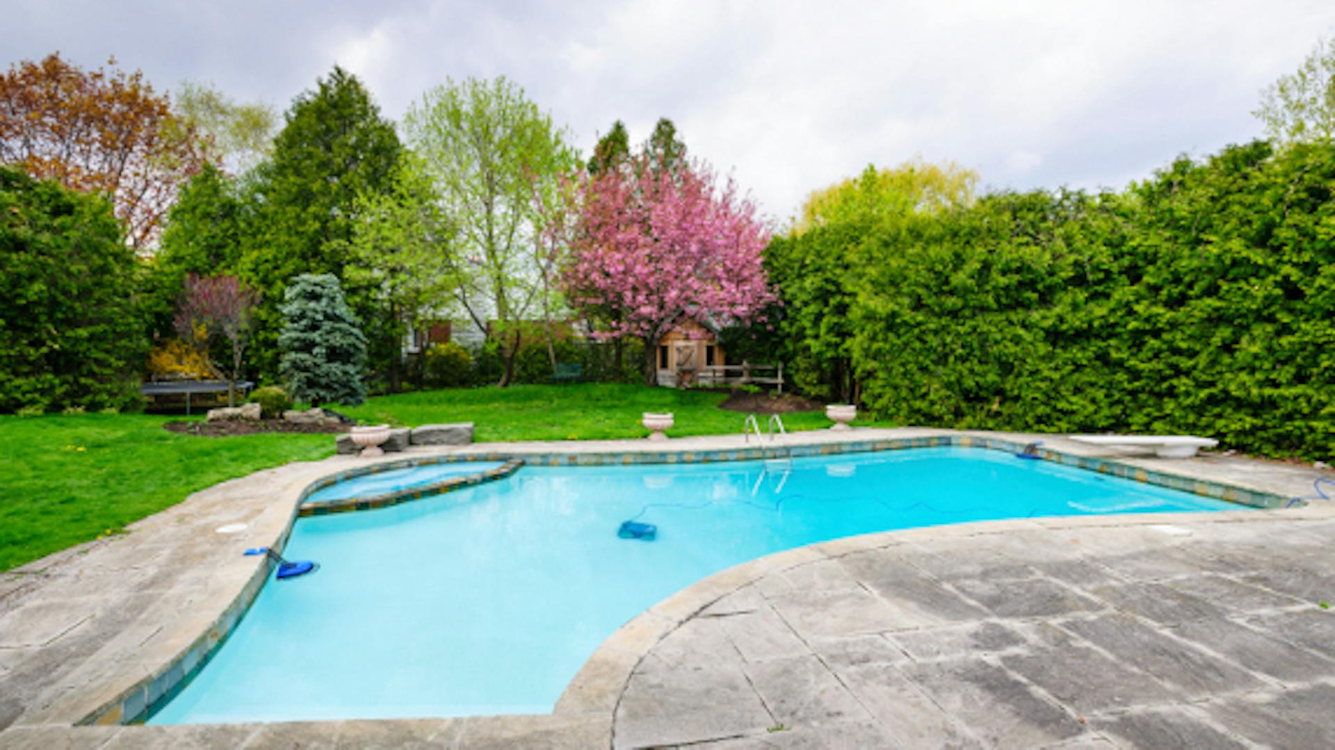 Un giardino con piscina e siepi come protezione fendivista.