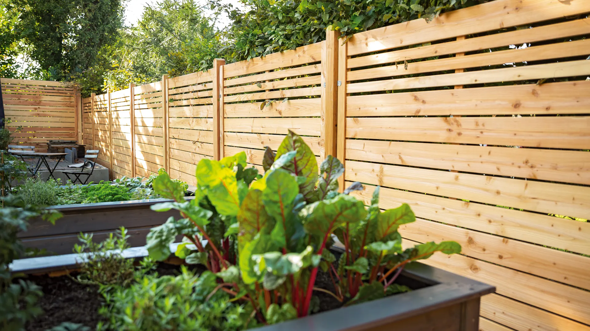 Photo de couverture Clôture avec jardinière surélevée