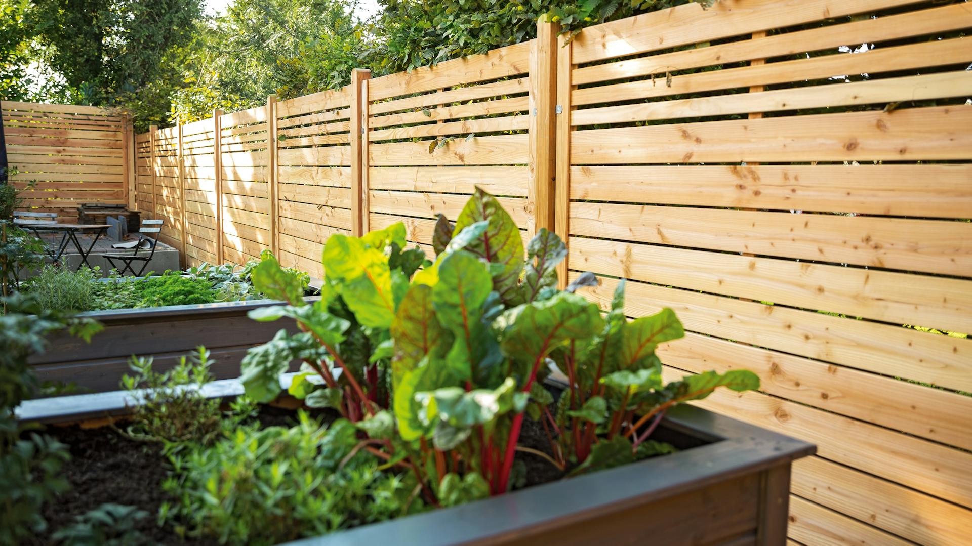 Zaun als Holz hinter Hochbeeten