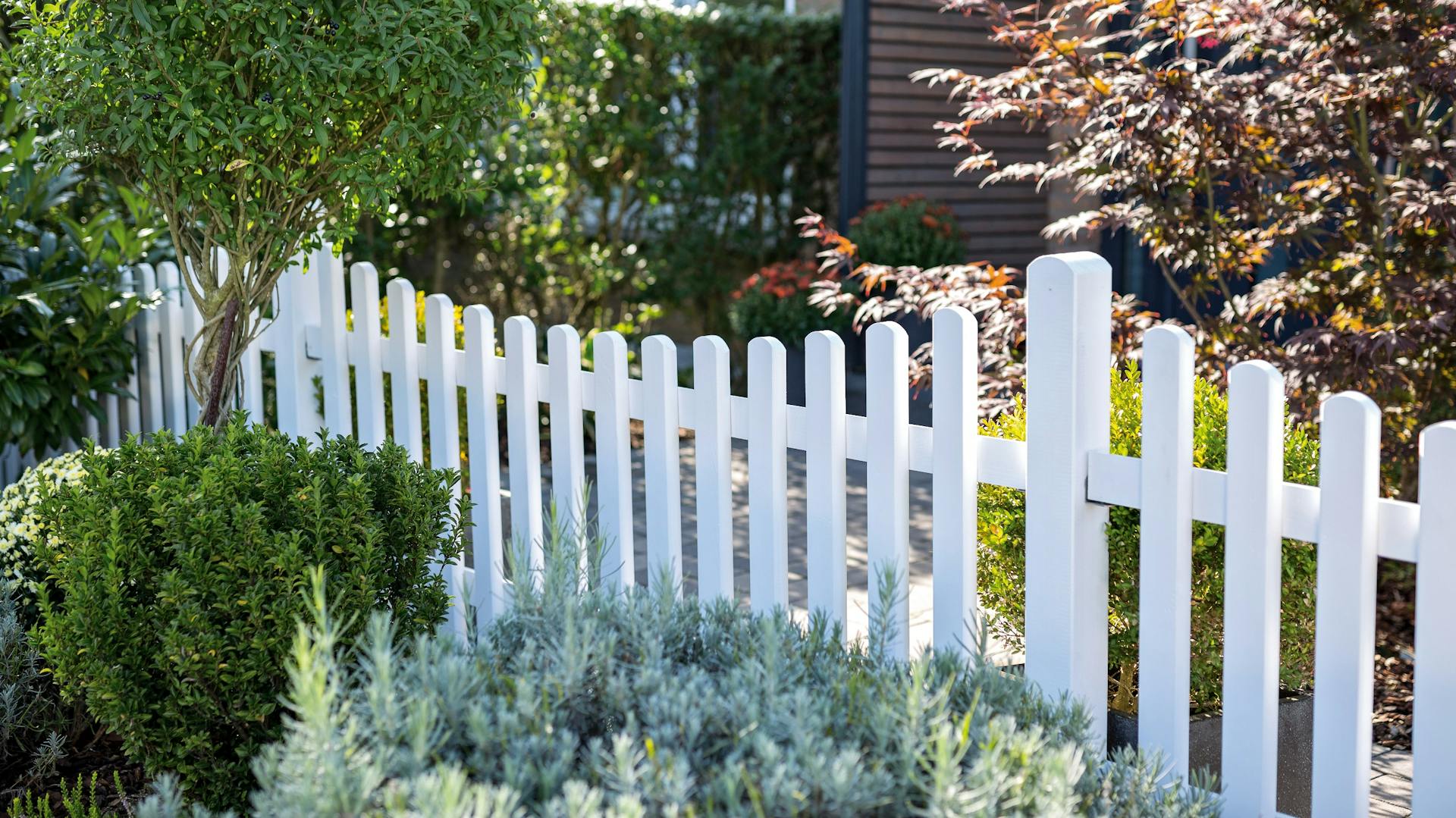 Weißer Holzzaun mit Hecke