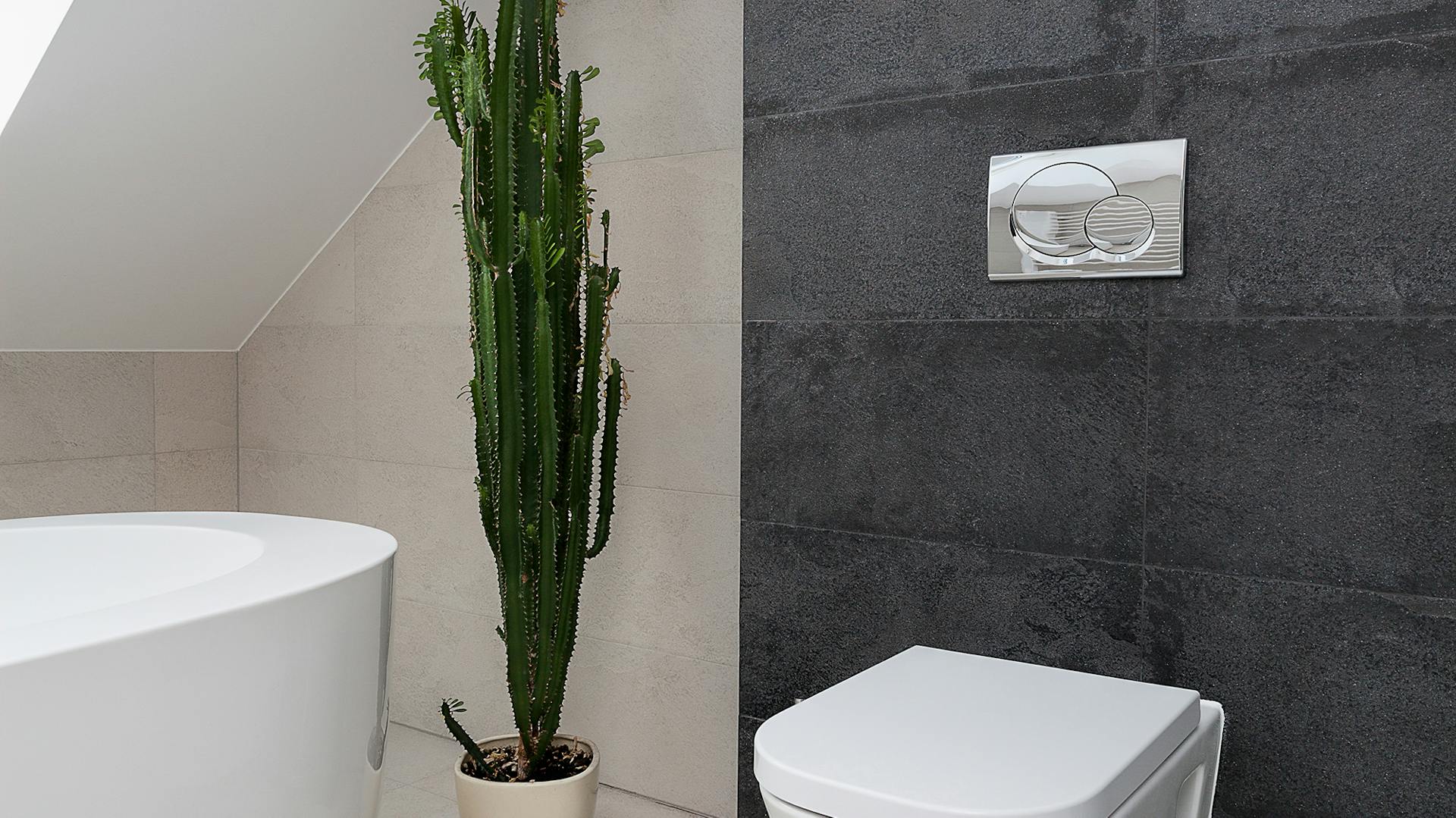 Ecke in einem Badezimmer mit einer Dachschräge