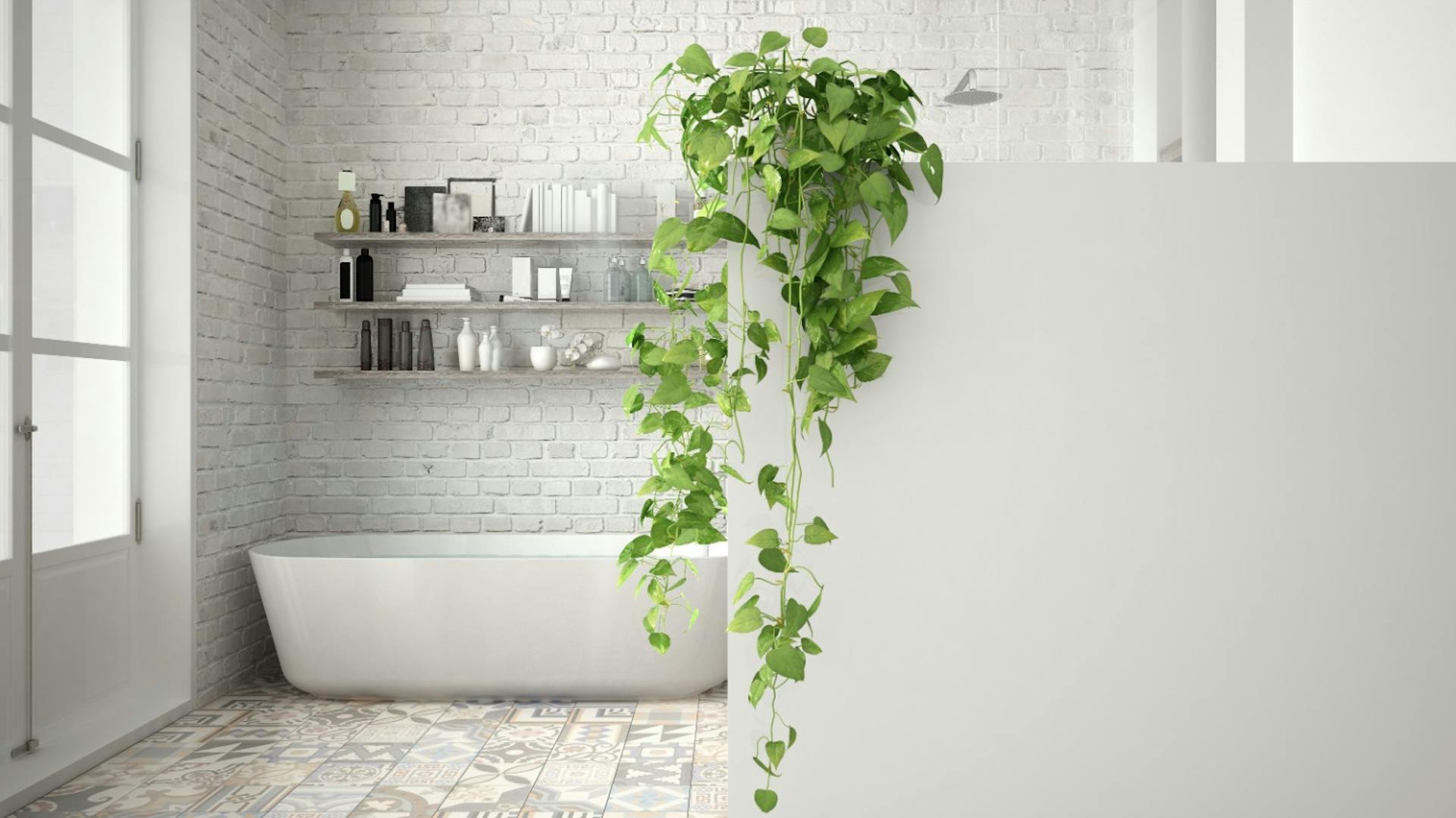 pflanzen für das badezimmer – ideen und tipps | obi