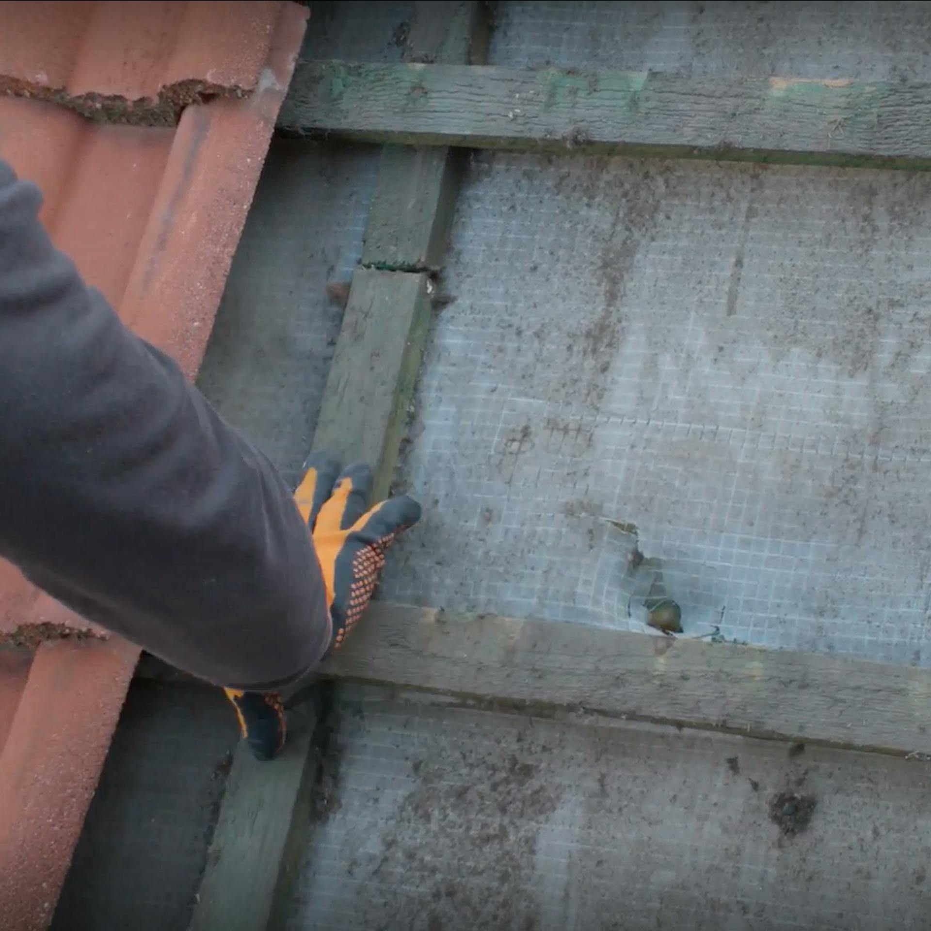 Dachziegel austauschen & Unterspannbahn reparieren | OBI