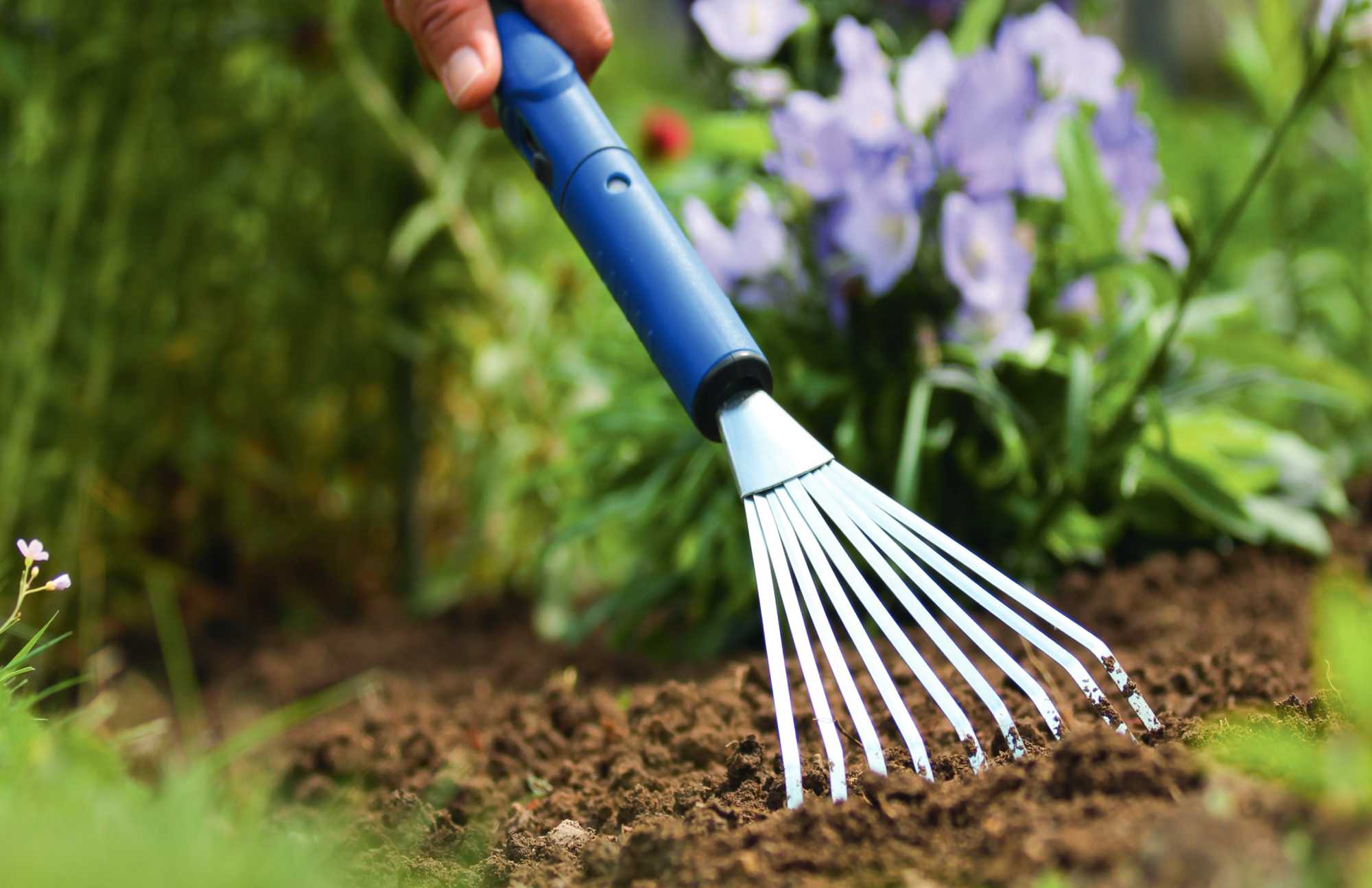 Hand mit Rechen auf Erde